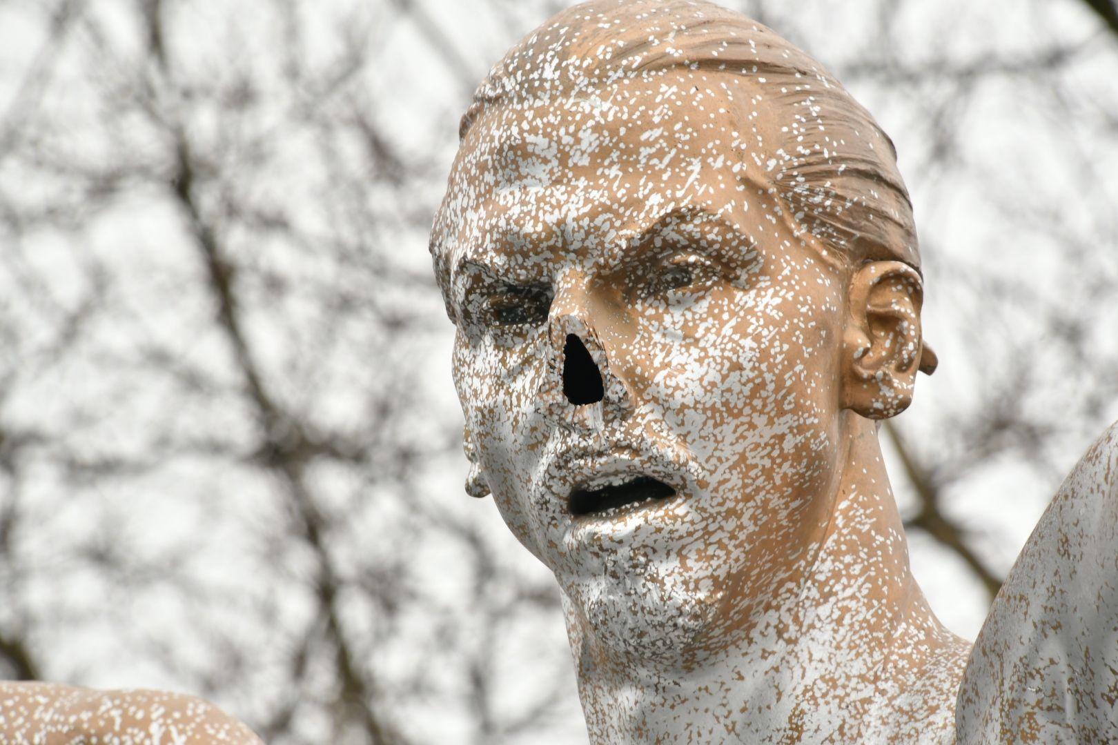 Statyn har vandaliserats flera gånger. Bland annat har näsan förstörts. 