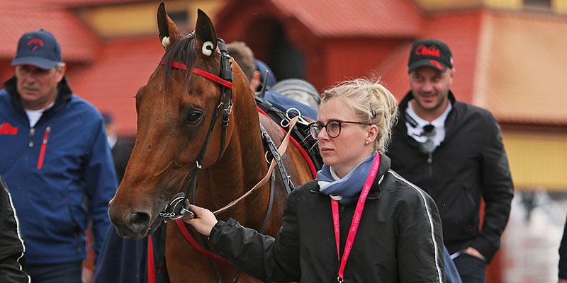 Julie Grenet tillsammans med Aubrion du Gers på Solvalla vid Elitloppsstarten 2019. Senare samma sommar dog hästen efter att ha frontalkrockat med en annan häst i träningen.