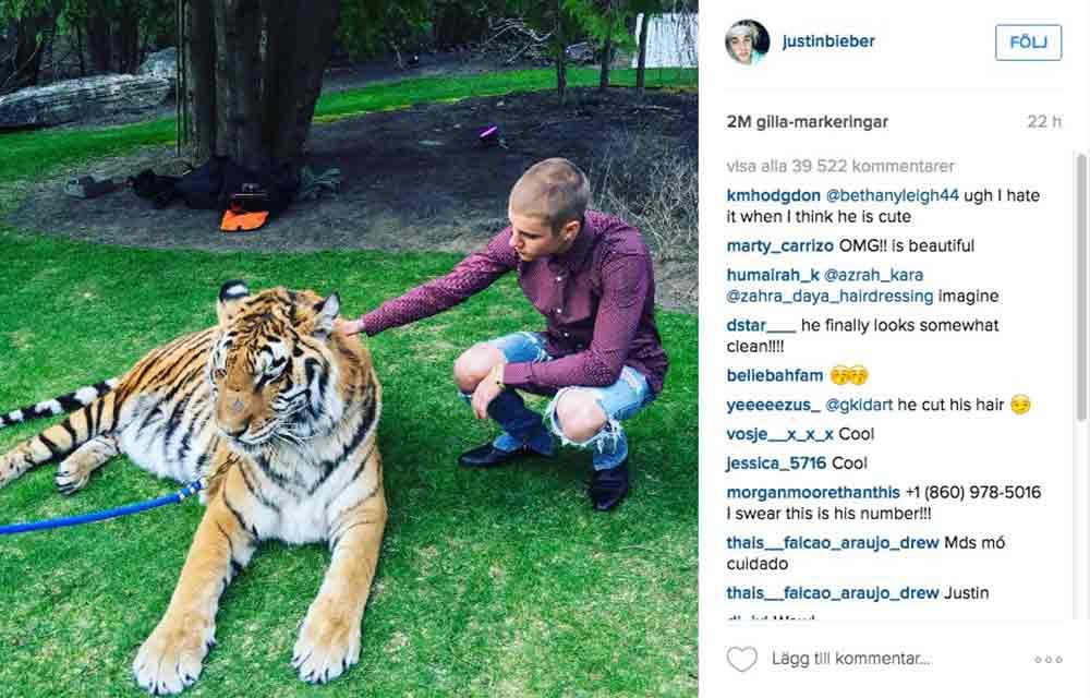Justin Bieber postade bilden på sig själv med tigern på Instagram.