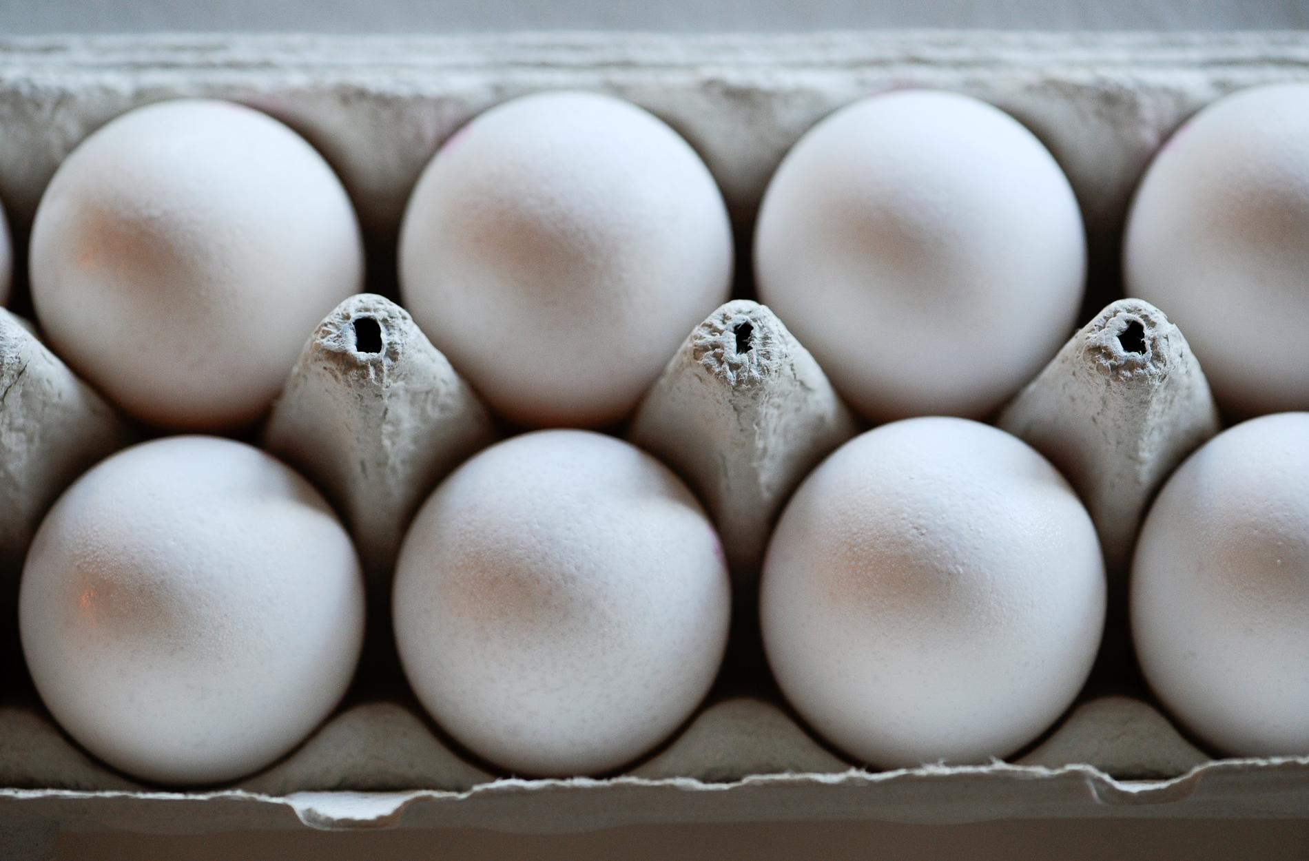 Fågelinfluensan har slagit hårt mot den svenska äggproduktionen. Arkivbild.