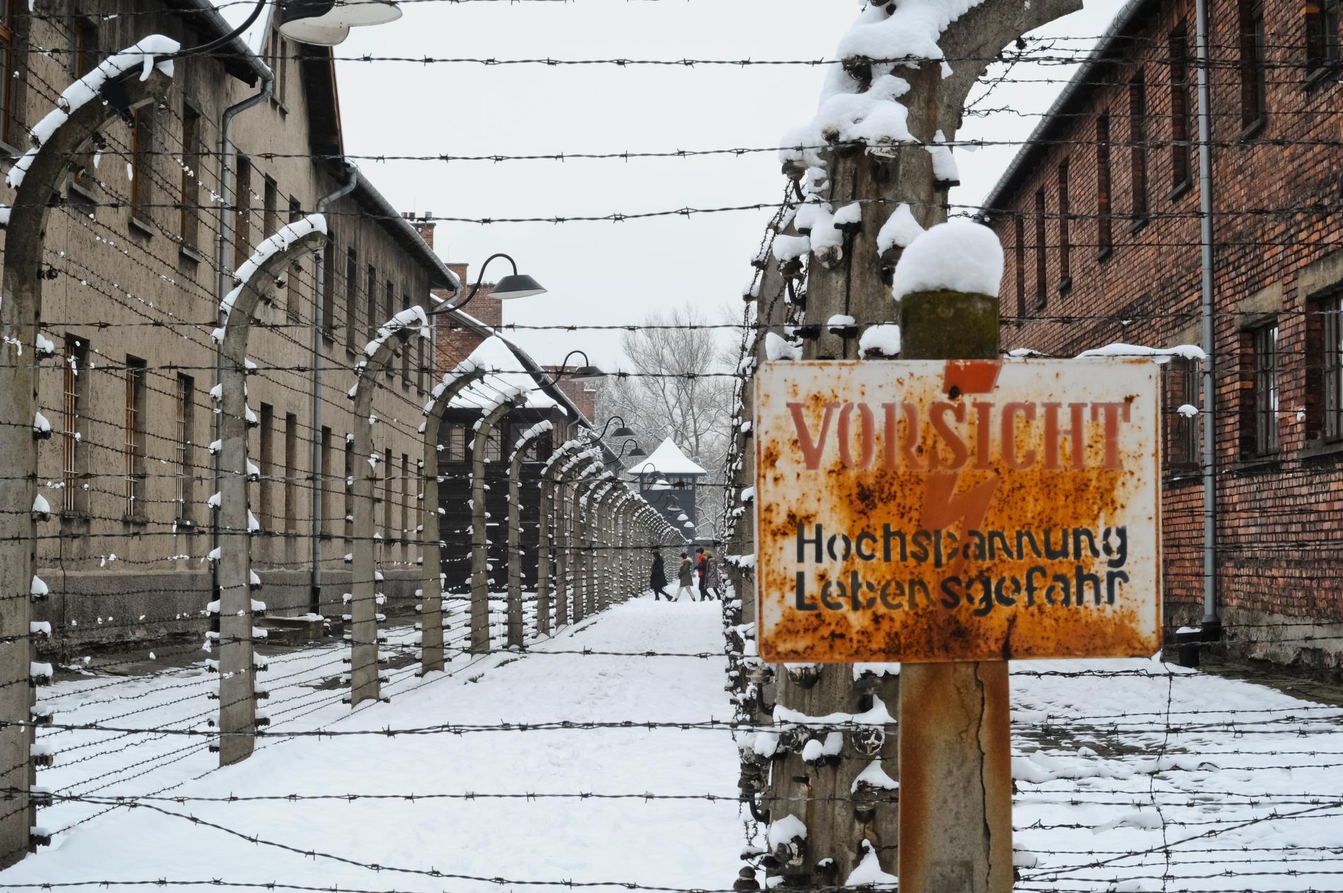 En bild från taggtråden vid dödsläget Auschwitz. Arkivbild.