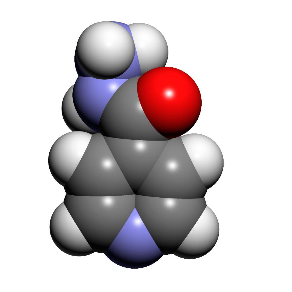 En illustration av en isoniazidmolekyl.