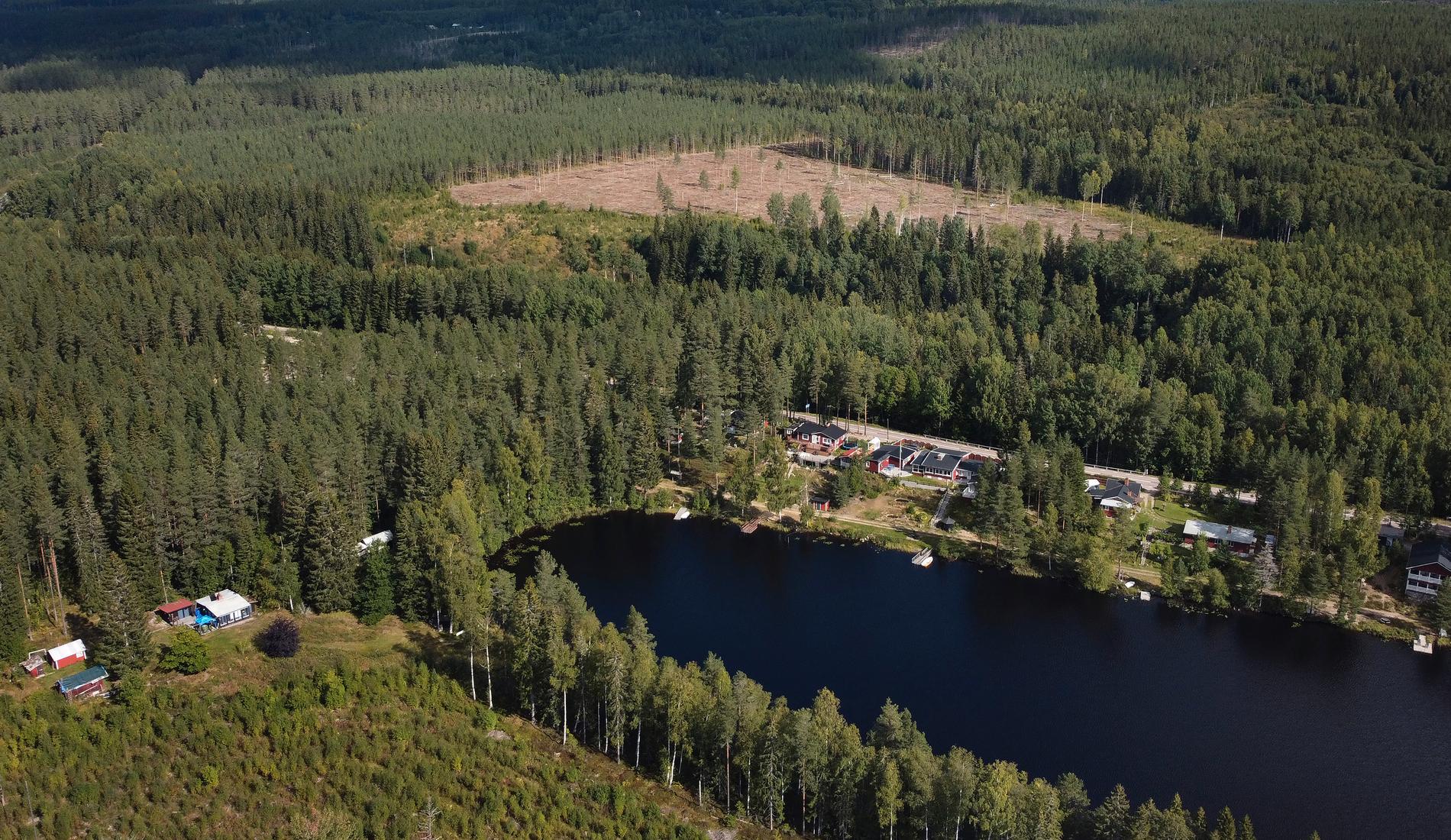 Gränsen mellan elområde 2 och 3 skär genom landskapet norr om Östra Sandsjön.