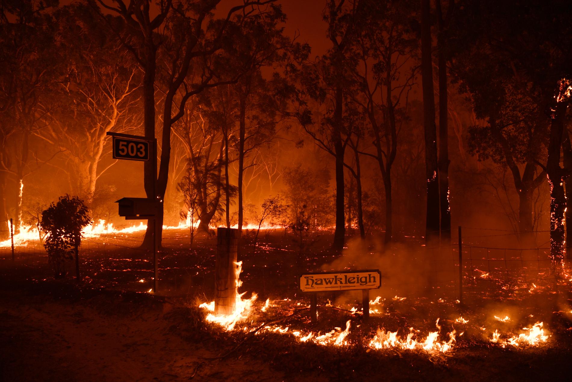 Brand i staden Sussex utanför Sydney, Australien.