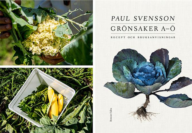 Paul Svenssons bok ”Grönsaker A–Ö”,  (Bonnier fakta). Receptfoto: Charlie Drevstam
