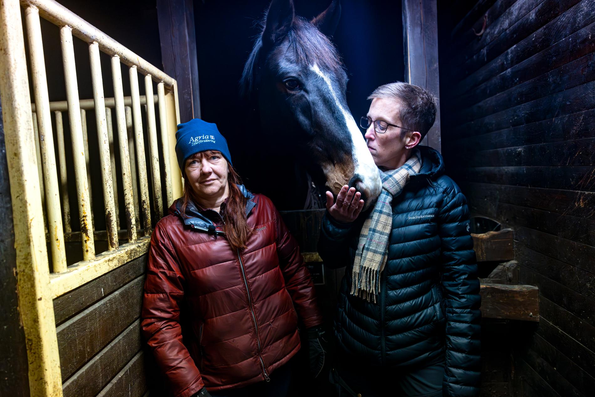 Annika Fridén-Ahlin, 55, (till vänster) grep in när Anna Lahger, 45, föll av hästen. Hästen på bilden var inte inblandad i olyckan.