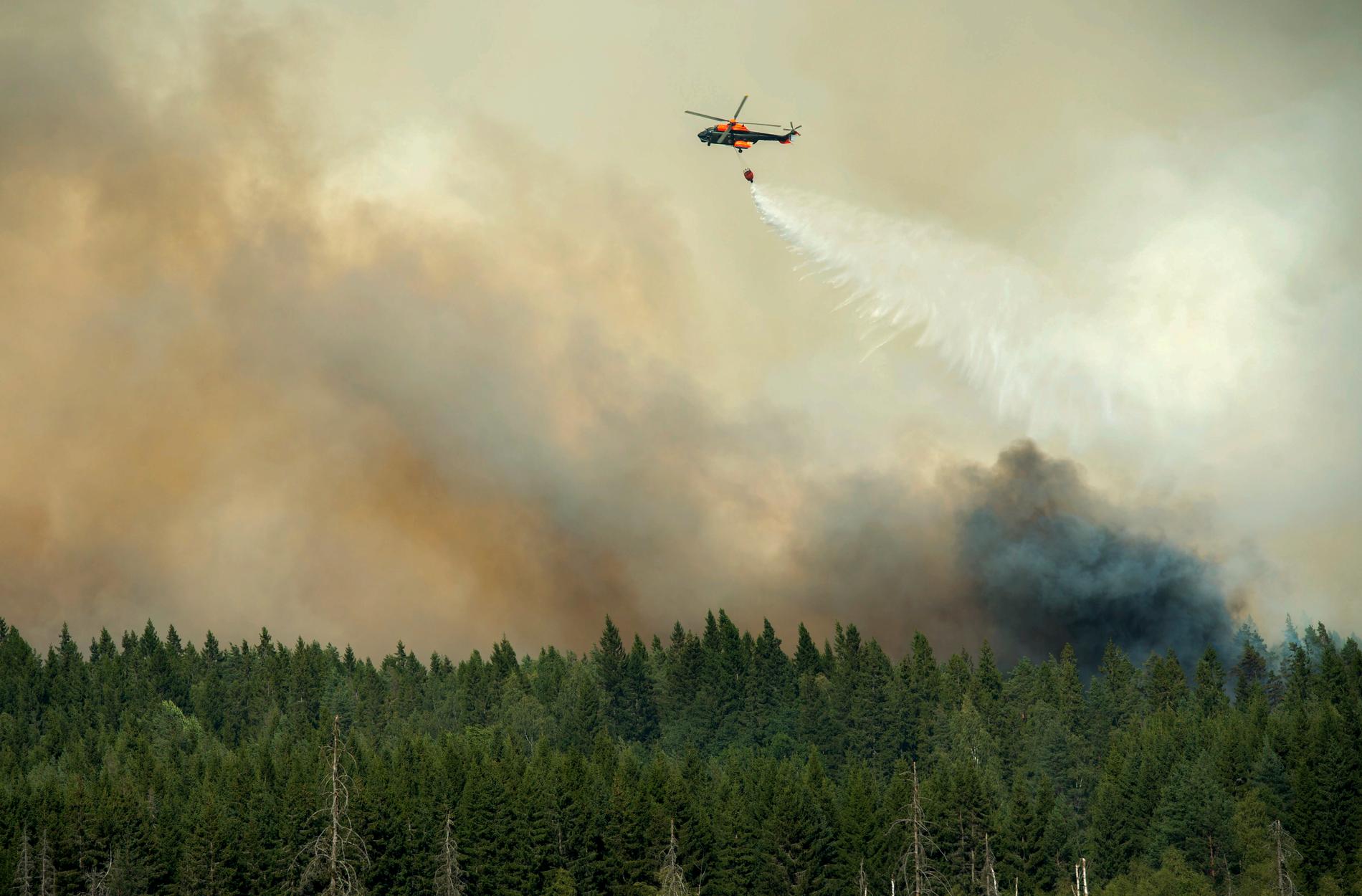 En helikopter släpper vatten över en skogsbrand.