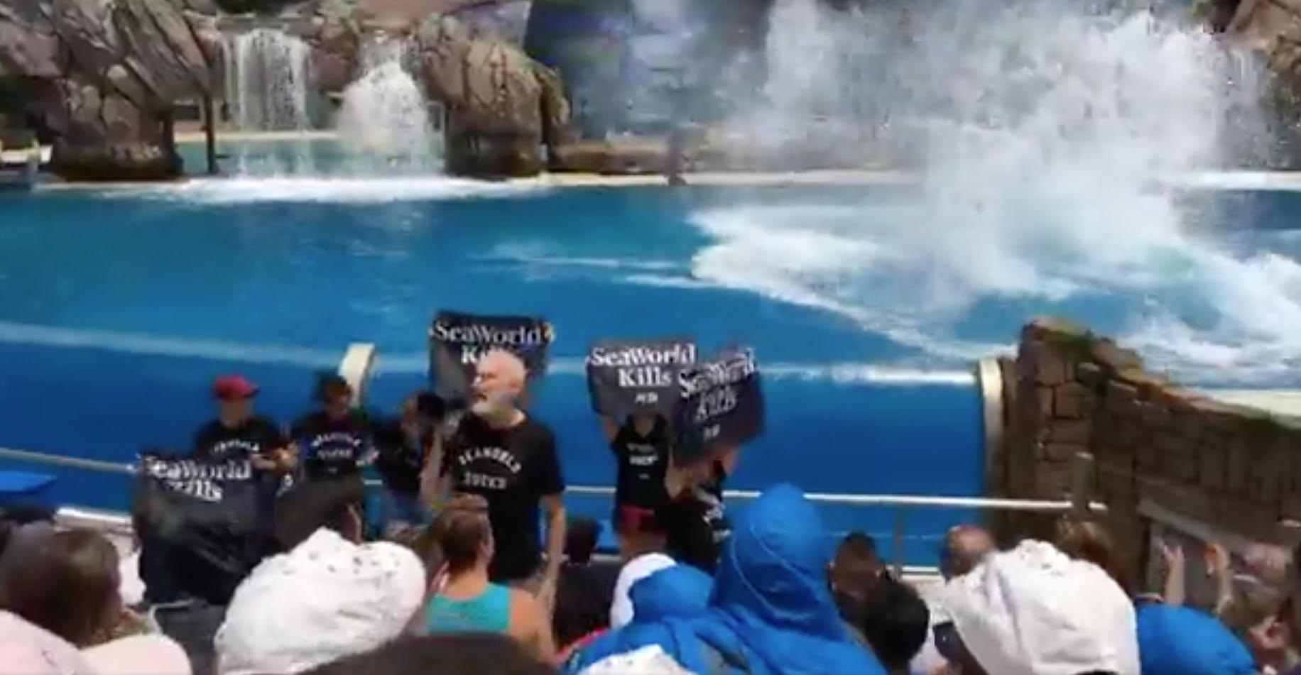 James Cromwell protesterar tillsammans med flera personer under en föreställning på Seaworld.