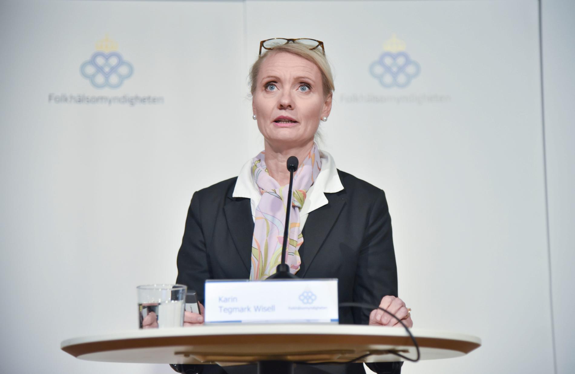 Karin Tegmark Wisell, tillträdande generaldirektör för Folkhälsomyndigheten.