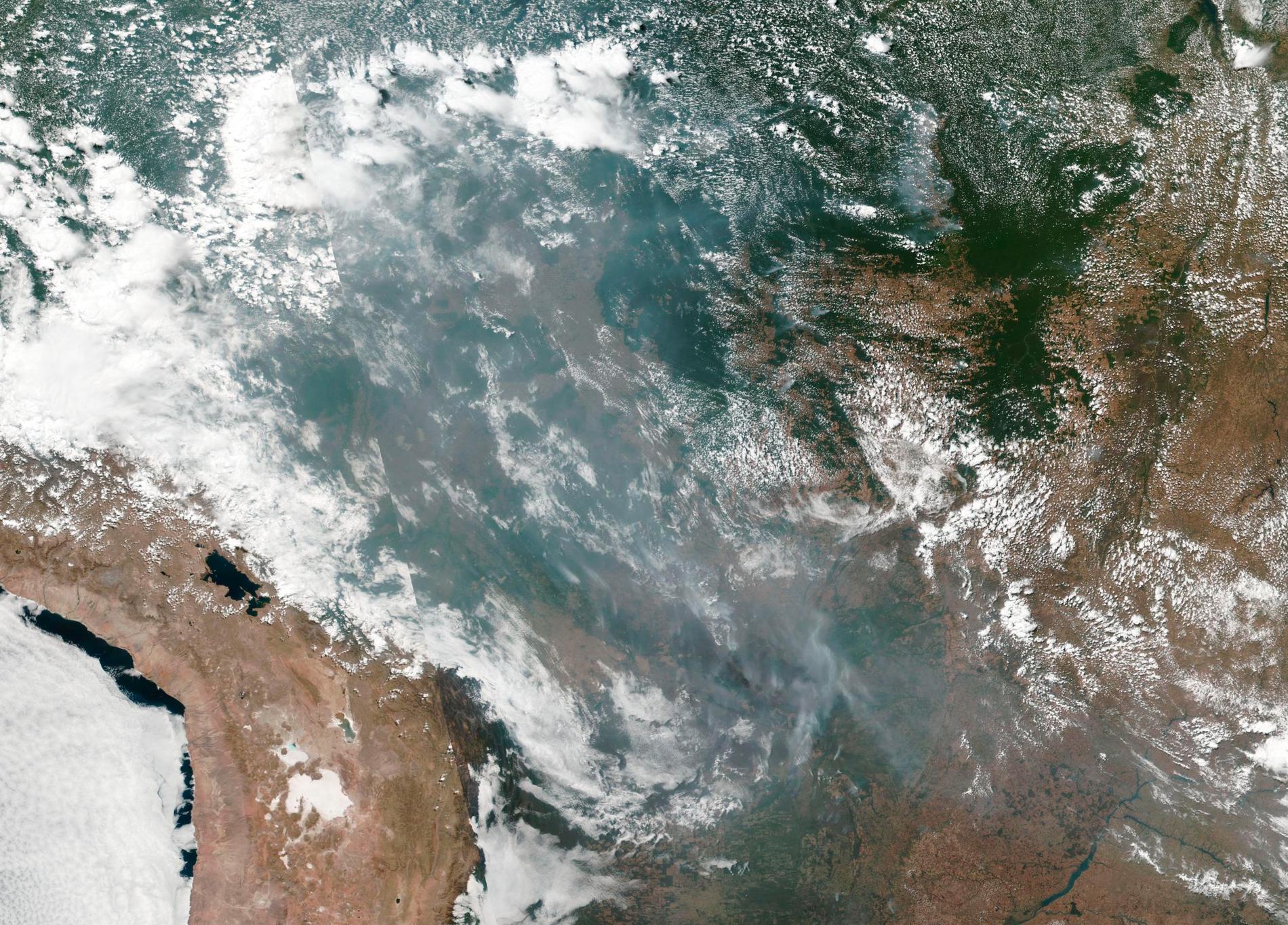 Satellitbild från Nasa som visar bränderna i Amazonas regnskog.