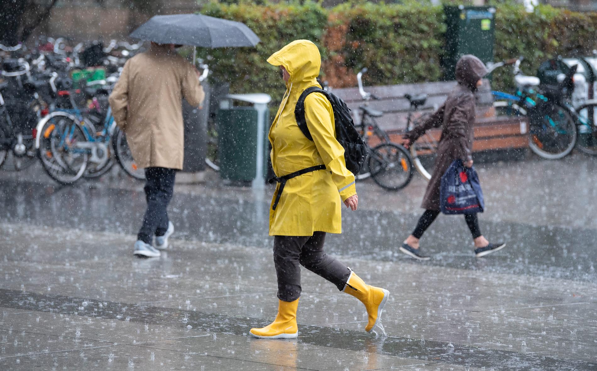 En kraftig regnskur i Malmö 2019.