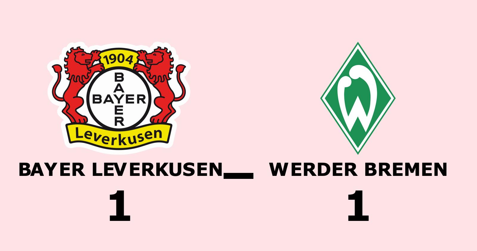 Stark insats när Werder Bremen tog poäng borta mot Bayer Leverkusen