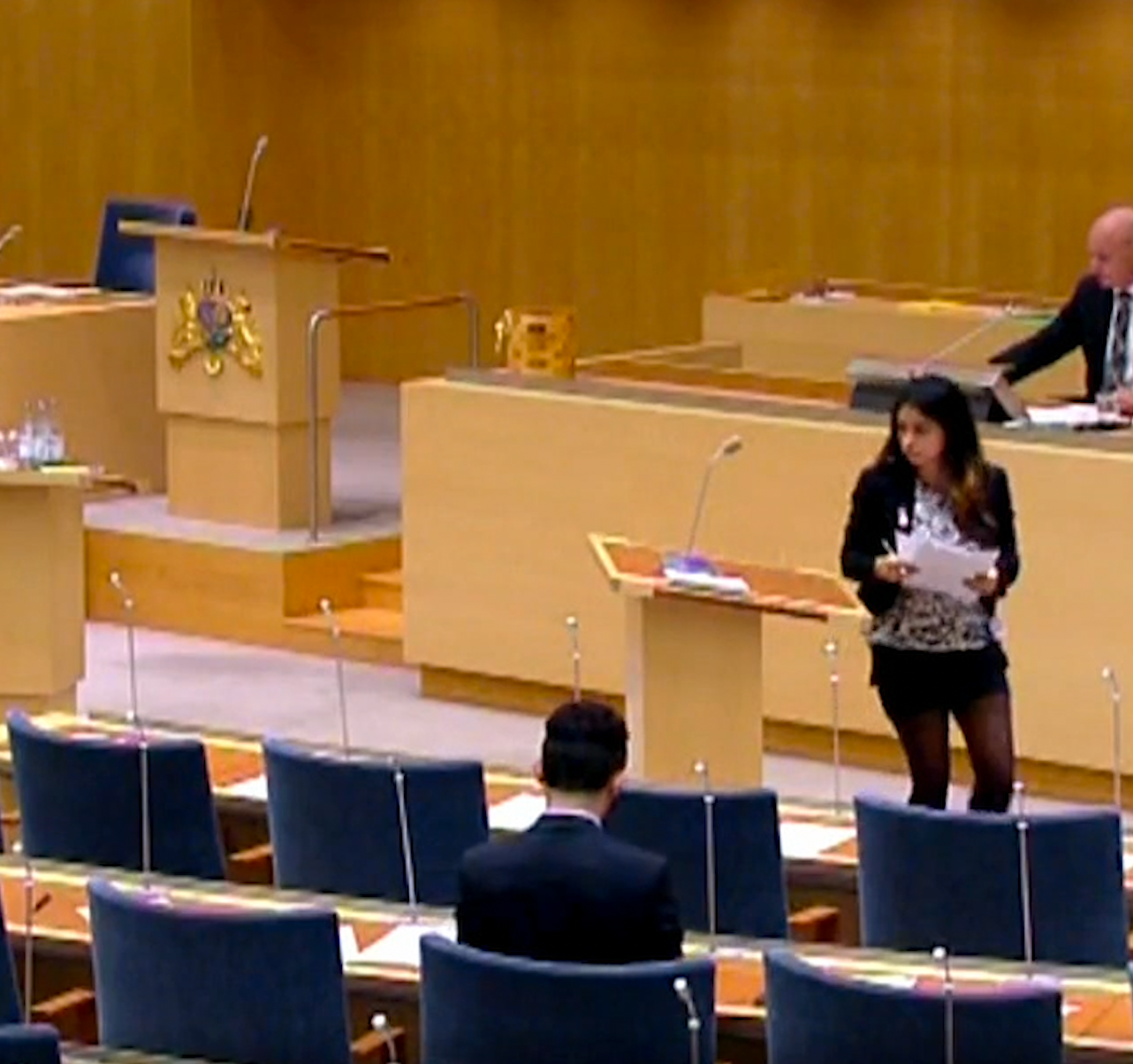 Den 21 oktober 2014 hade Nooshi Dadgostar en debatt i riksdagen som handlade om hyresrätter. Hennes pressavdelning tror att det rör sig om den här klädseln som Björn Söder (SD) kommenterade på. 