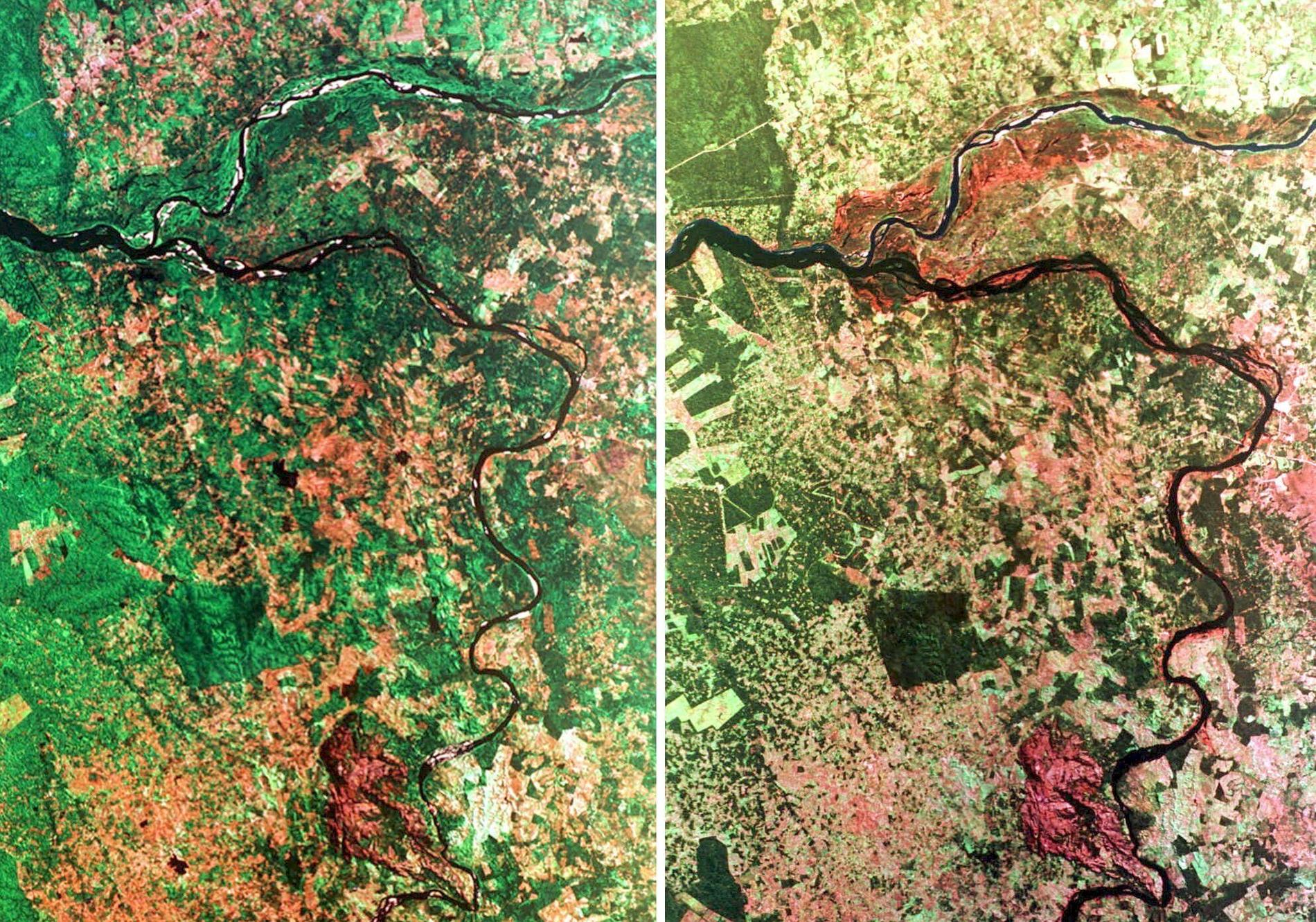 Satellitbild över regnskog i Brasilien (genrebild).