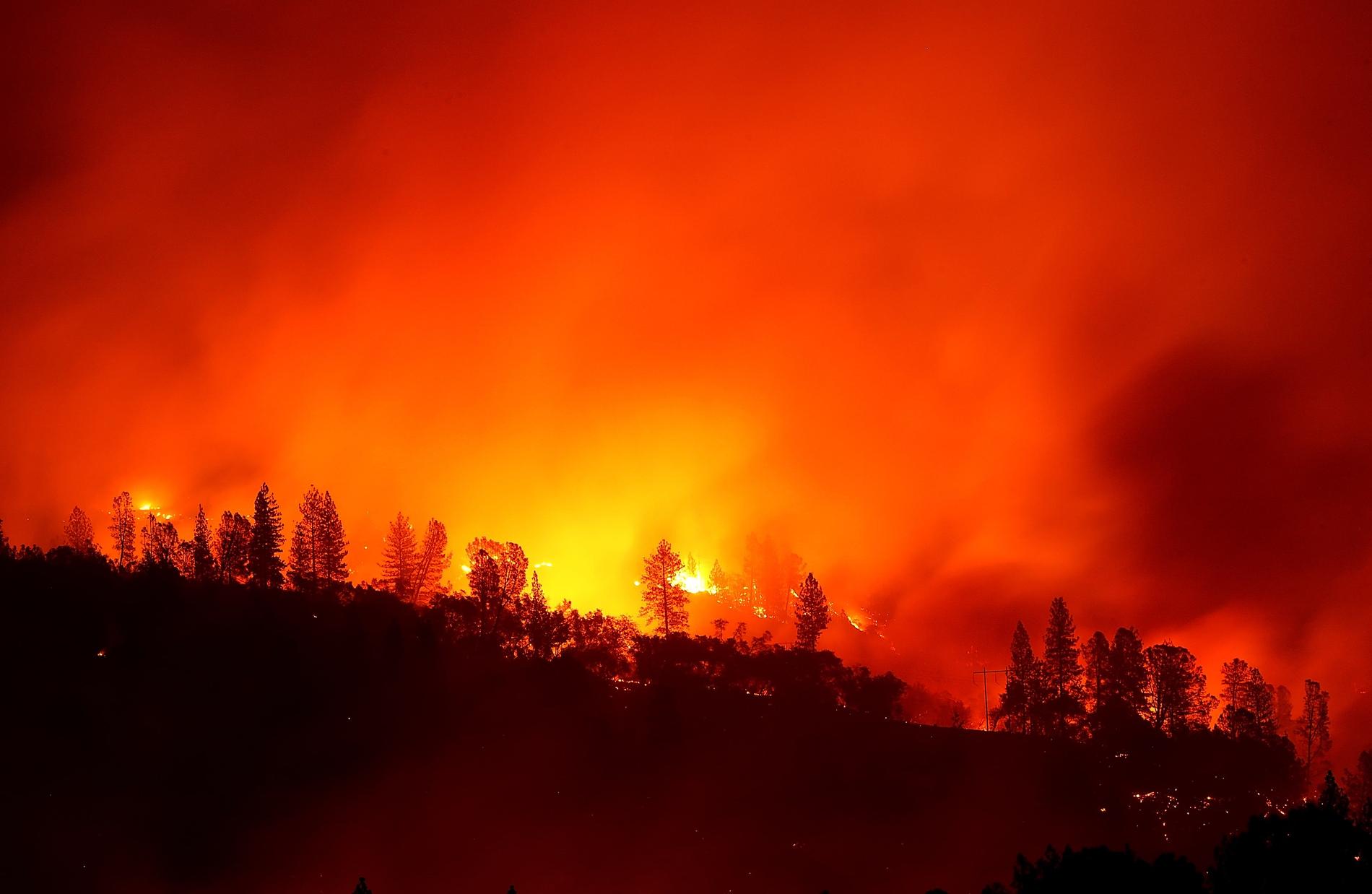 Jättebranden  ”Camp Fire” i Kalifornien.