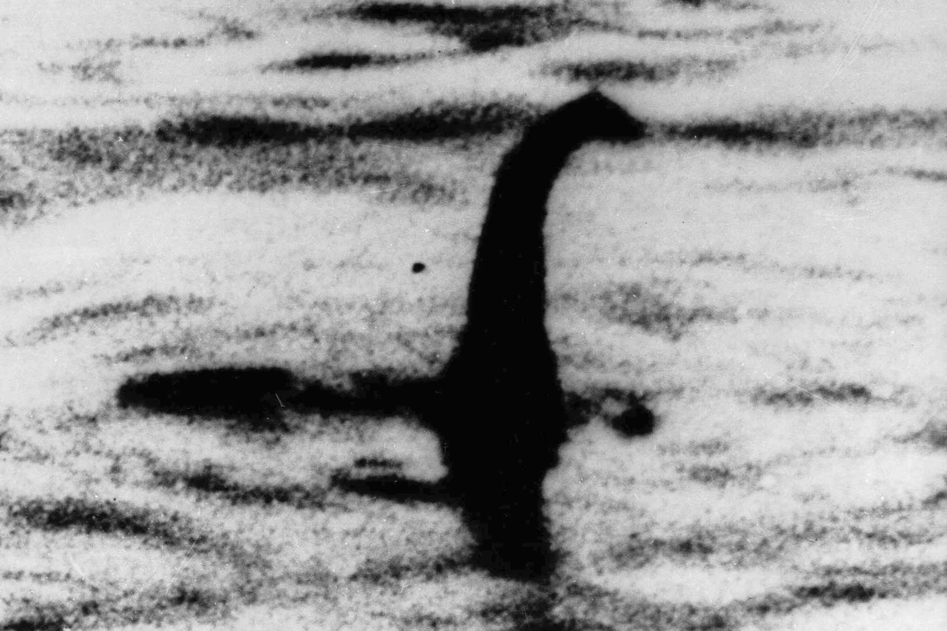 Det suddiga fotot som länge påstods föreställa Loch Ness-odjuret i Skottland. Arkivbild.