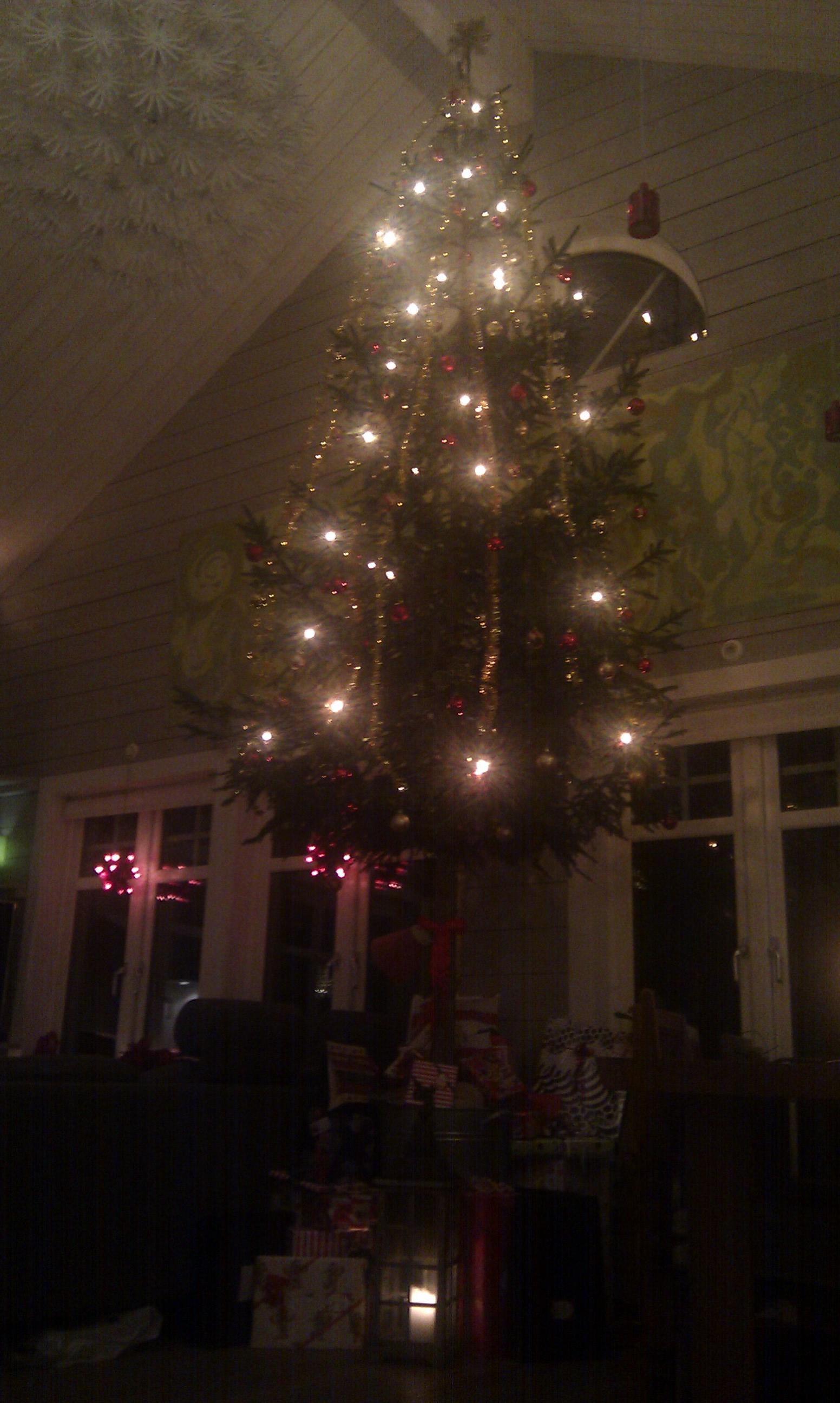Familjen Törnros i Stora vikas har en 5 meter hög julgran.