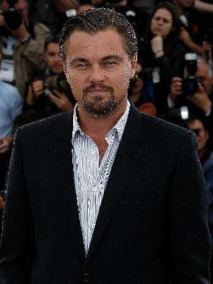 Leonardo DiCaprio har ryktas ha ett förhållade med Rihanna.