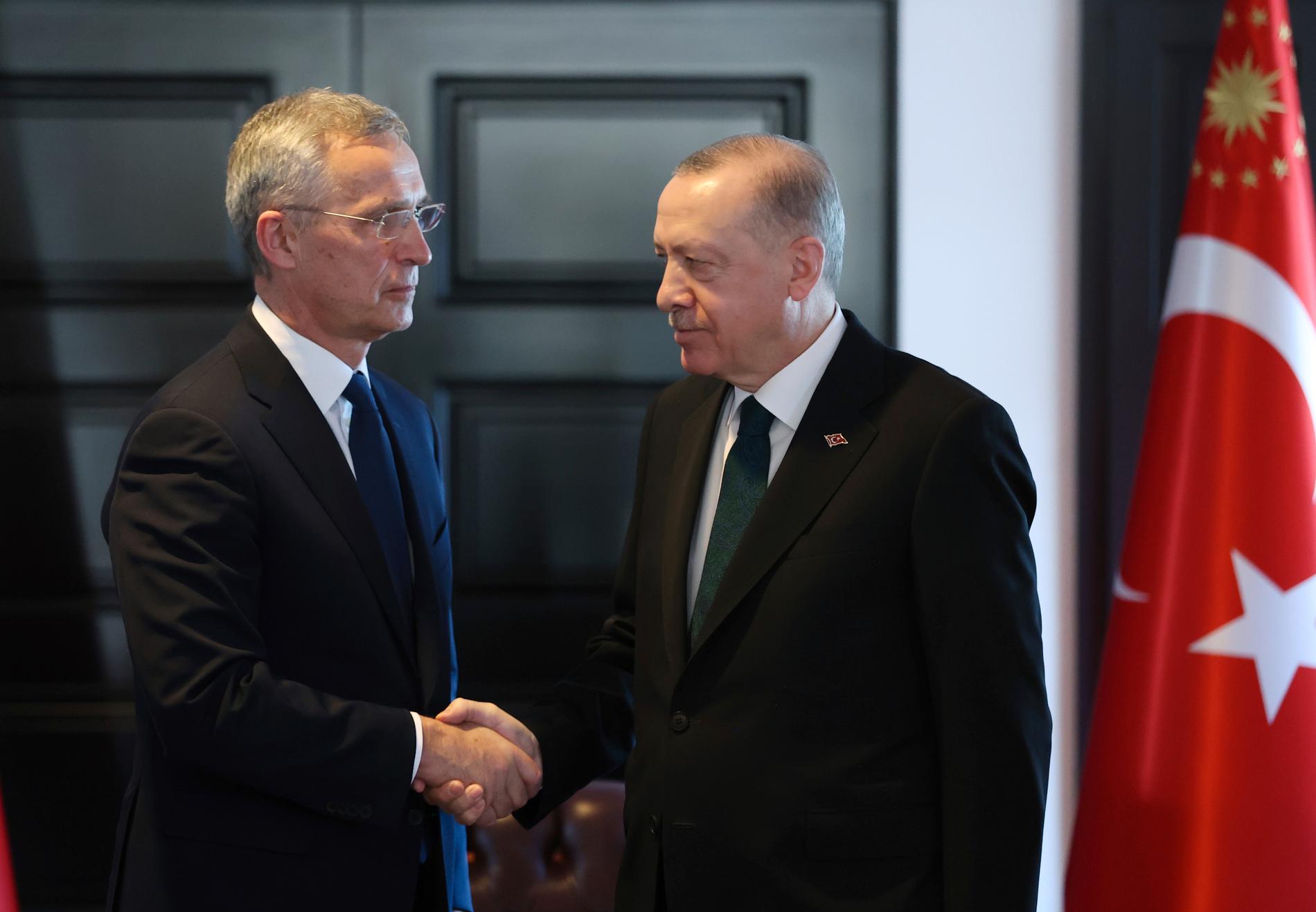 Natos generalsekreterare Jens Stoltenberg och Turkiets president diskuterar konsekvenserna av Rysslands krig i Ukraina.