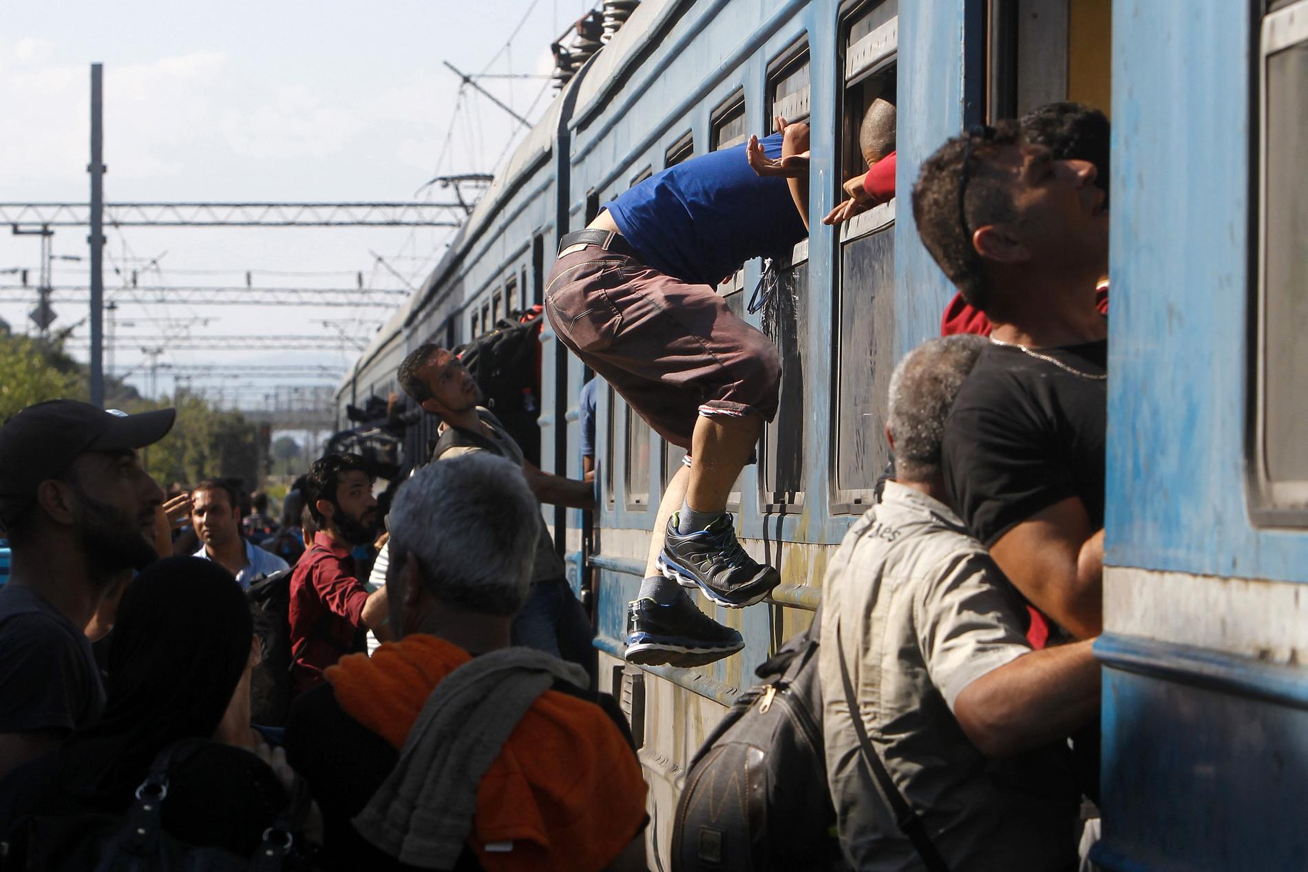”Jag har en känsla av att Ungern inte kommer kunna klara sig utan hjälp utifrån”, säger en internationell hjälparbetare.