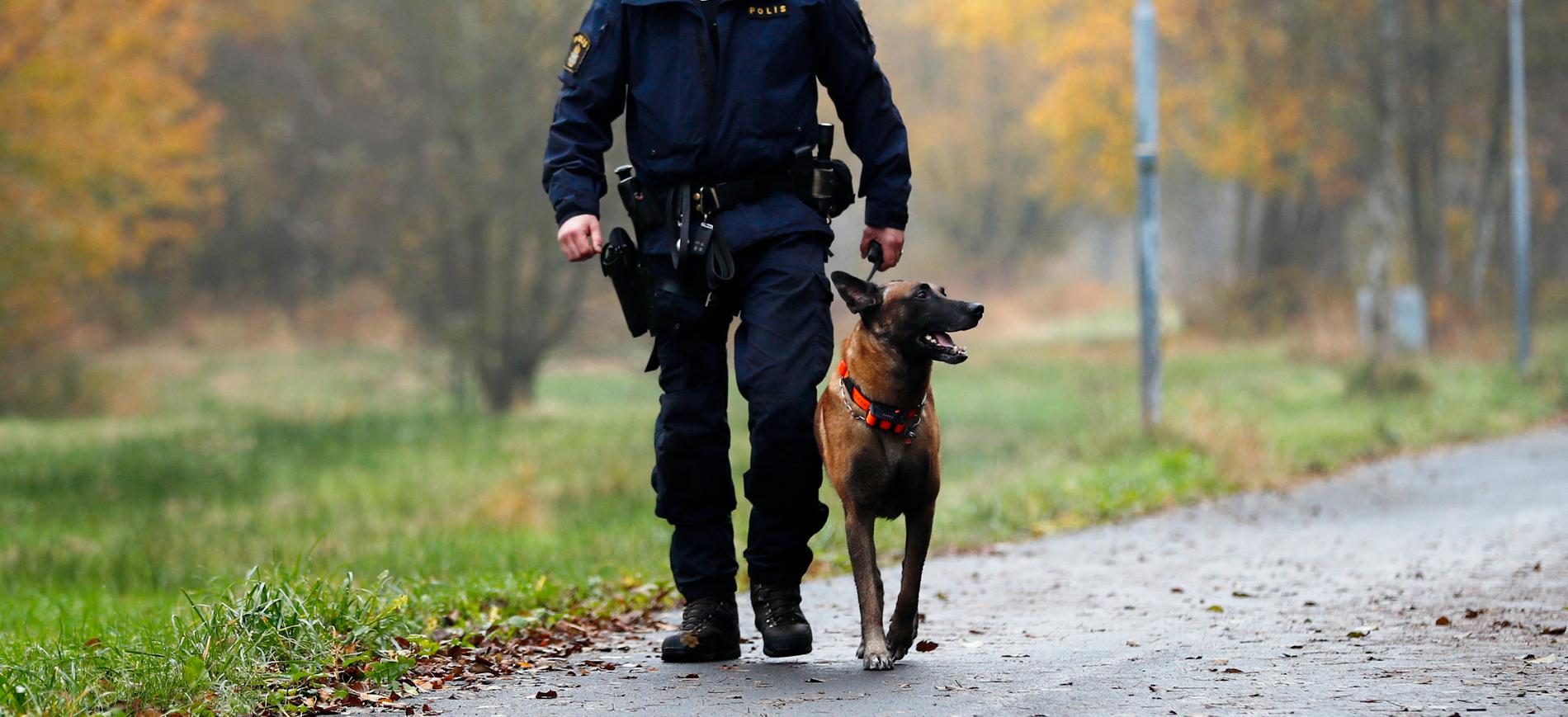 Arkivbild. Polispatruller med hund har under natten sökt efter den försvunna 85-åringen utan resultat. Nu trappas sökandet upp.