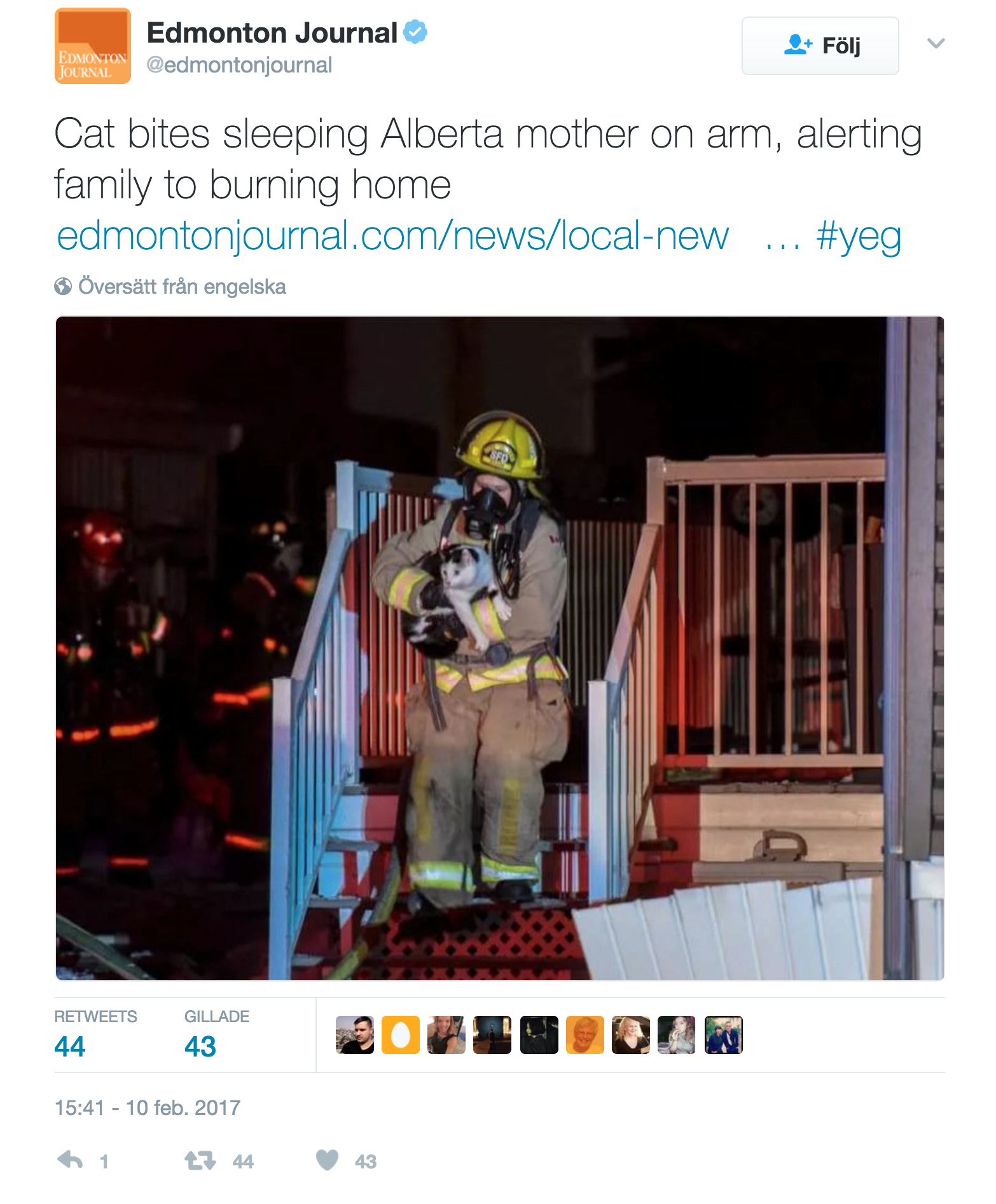 Ingen skadades i branden, tack vare familjens katt Drack.