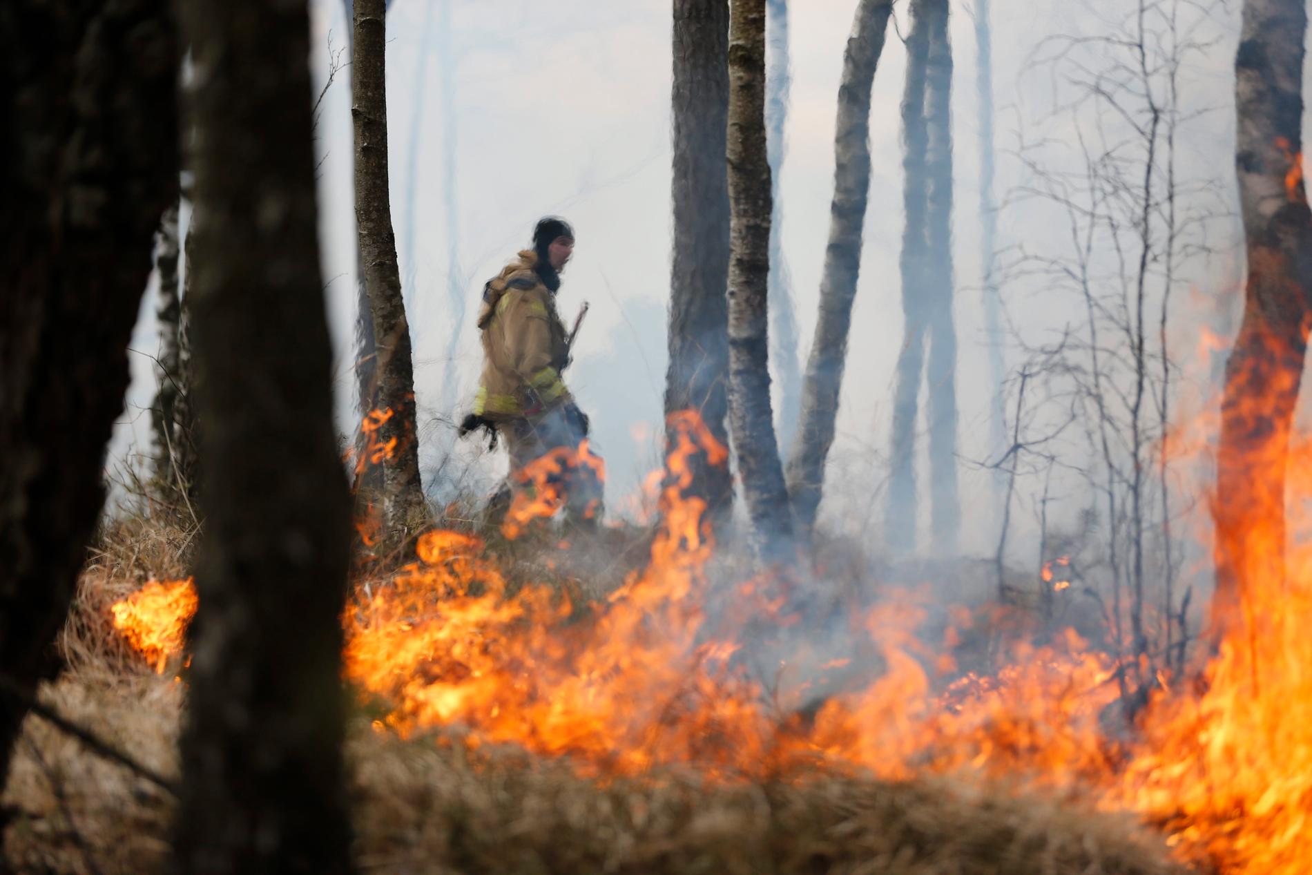 Riskerna för skogs- och gräsbrand kom tidigare under våren än vad som är vanligt, berättar brandingenjören Leif Sandahl. Arkivbild.