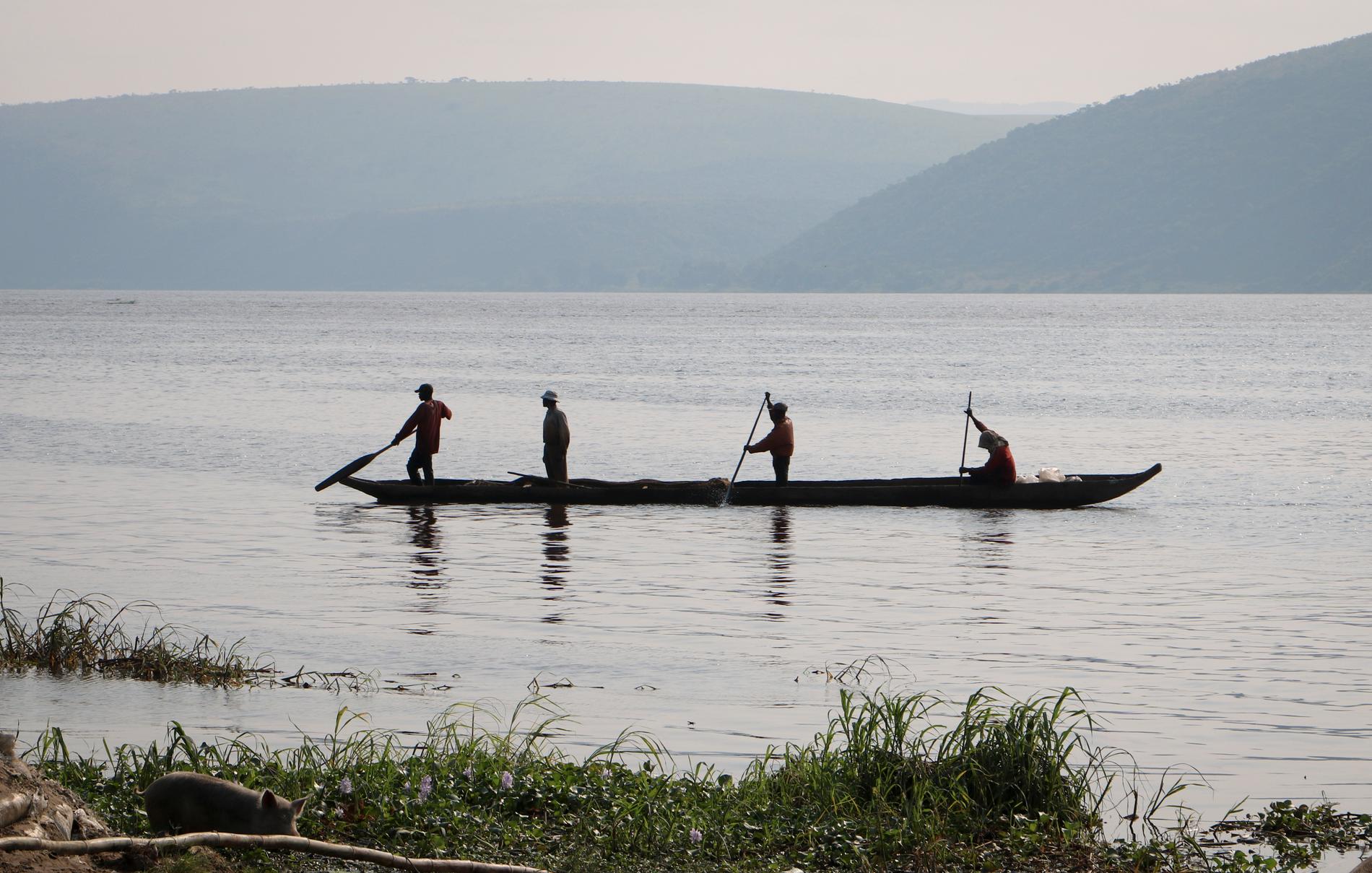 Den förorenade floden Kasaï rinner ut i Kongofloden (bilden), som är världens djupaste flod.