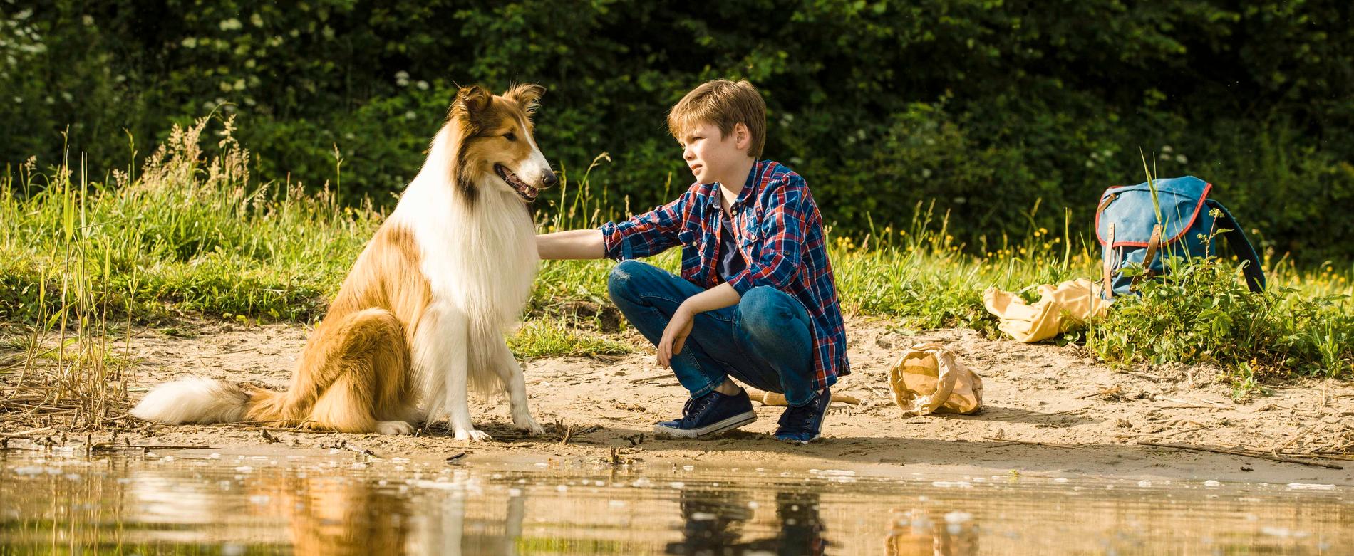 ”Lassie kommer hem”.