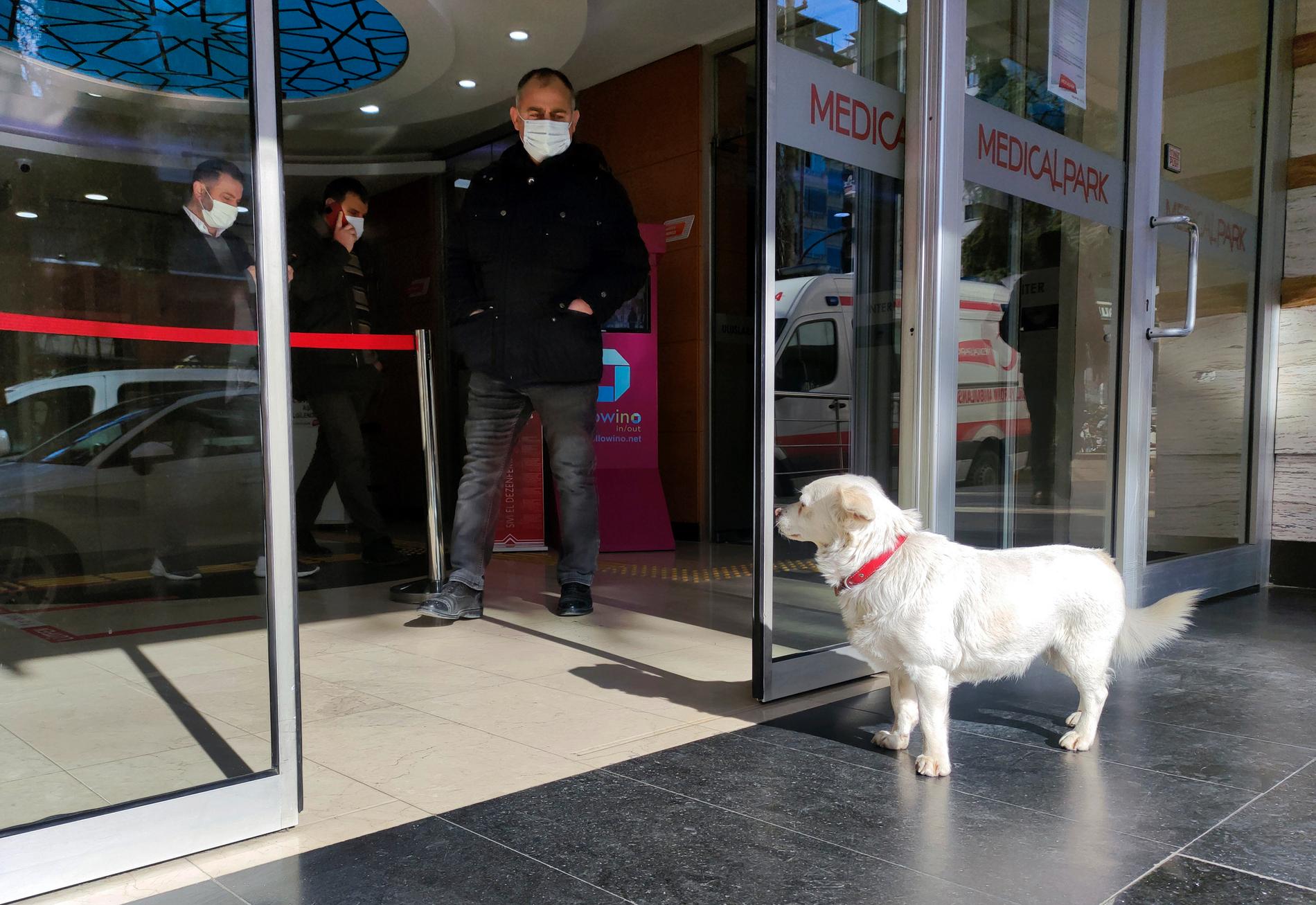 Hunden Boncuk spanar efter sin husse Cemal Sentürk vid ingången till sjukhuset i Trabzon den 19 januari.