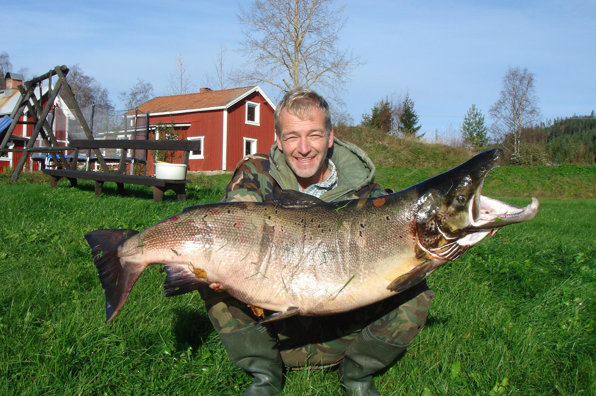 Rekordlax Uwe Lehrer från Medelpad fick 29 kilo lax på kroken.