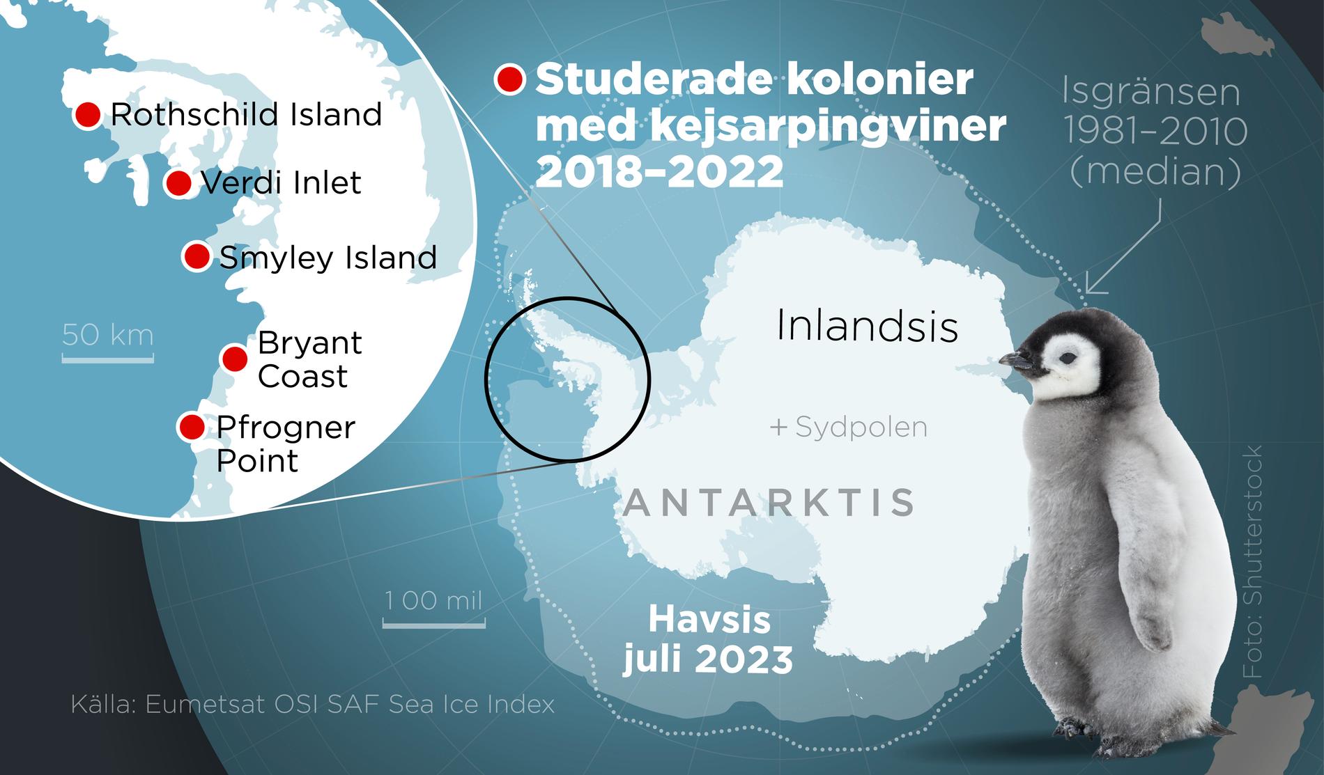 Kartan visar fem kolonier med kejsarpingviner på Antarktis som studerats 2018–2022, samt förändringarna i havsisen.