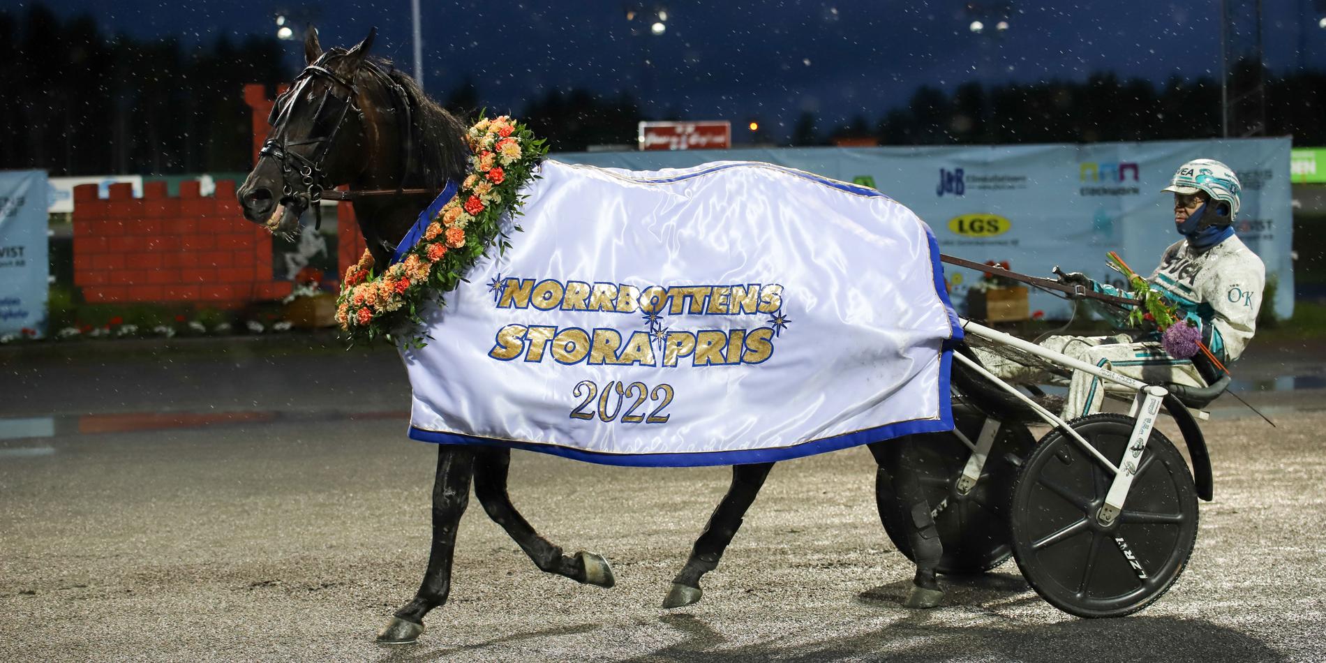 Don Fanucci Zet vann i fjol bland annat Norrbottens Stora Pris. 