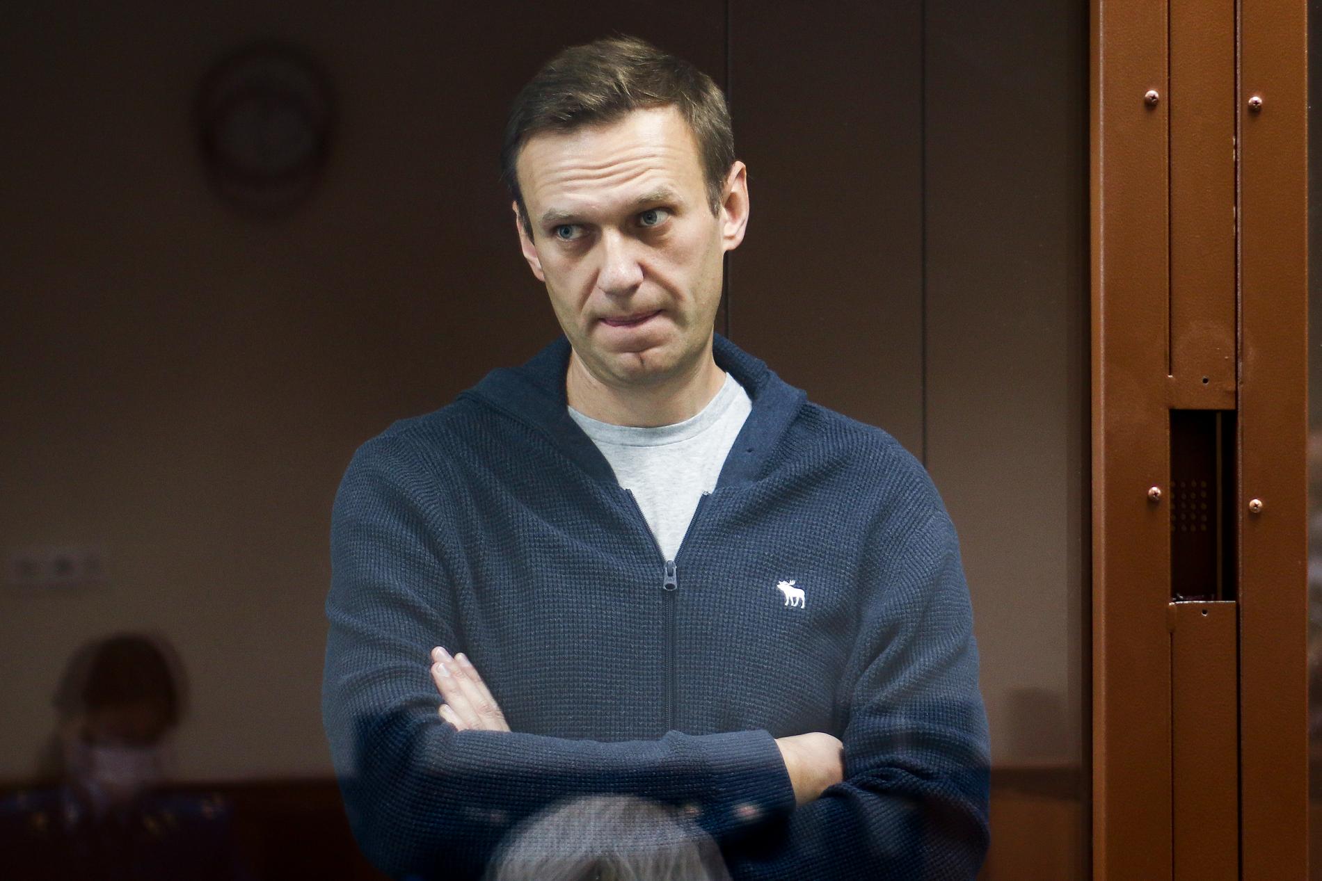 Aleksej Navalnyj vid rättegången mot honom i Moskva. Arkivbild.