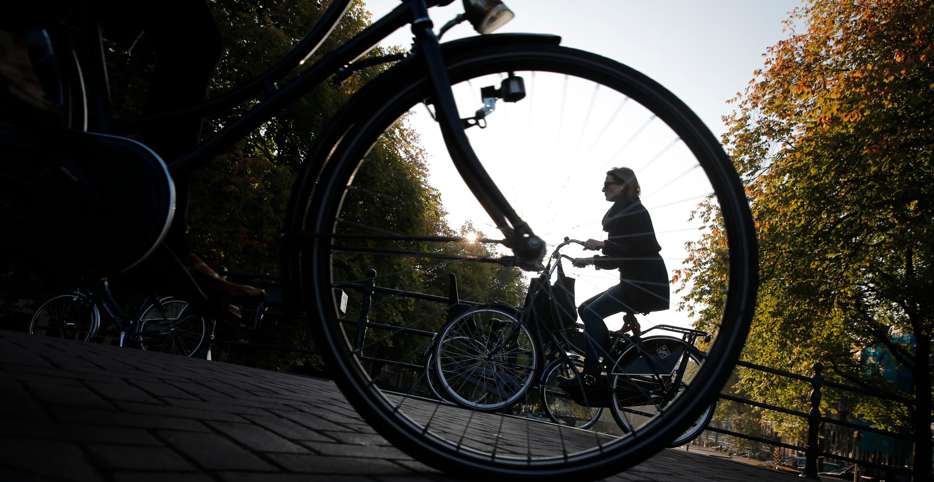 Miljontals människor tar sig fram på Nederländernas väl utbyggda cykelstråk. Nu vill regeringen förbjuda mobilanvändning under färd. Arkivbild
