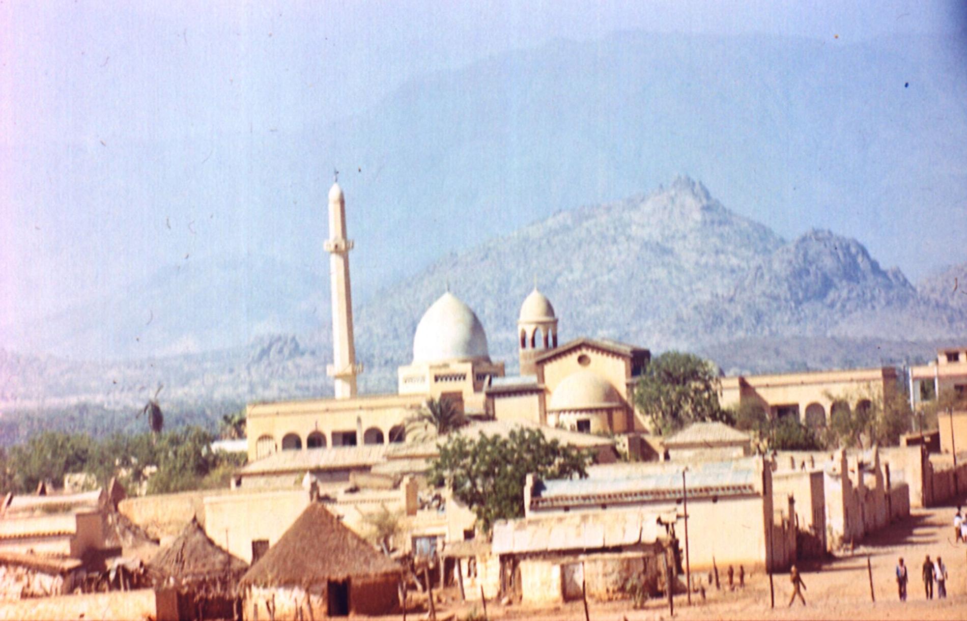 Vy över Ak’ordat-mosken 1982.
