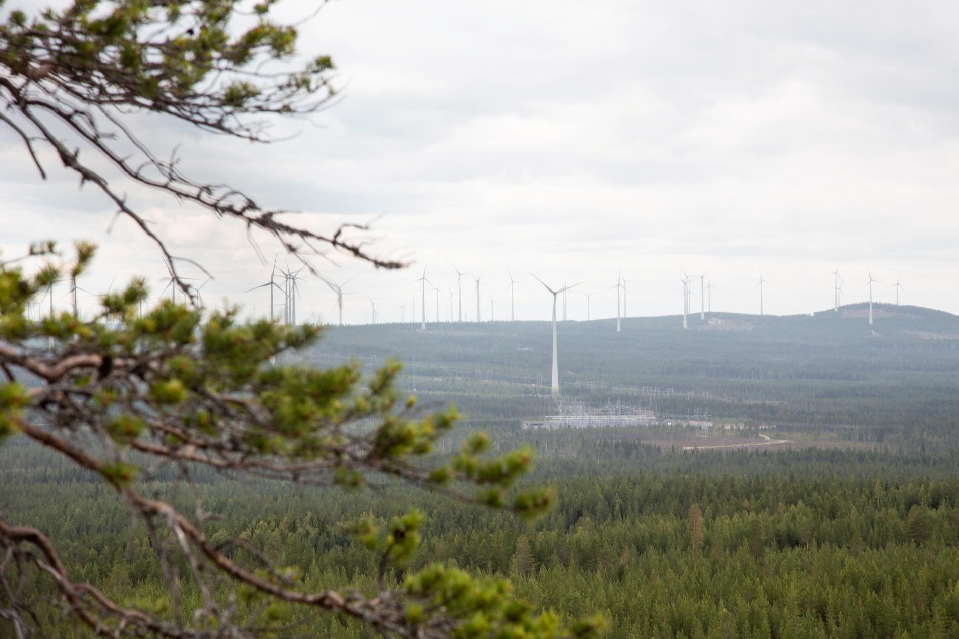 Johanna Frändén: ”Vi kommer behöva drämma upp gigantiska vindkraftsparker på hittills orörd mark”