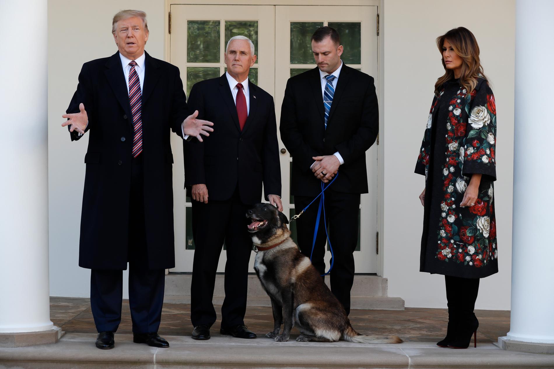 President Donald Trump presenterar Conan, en militärhund som skadades i samband med att amerikansk trupp dödade IS-ledaren Abu Bakr al-Baghdadi i slutet av oktober. På presentationen i Vita huset fanns också vicepresident Mike Pence and presidenthustrun Melania Trump.