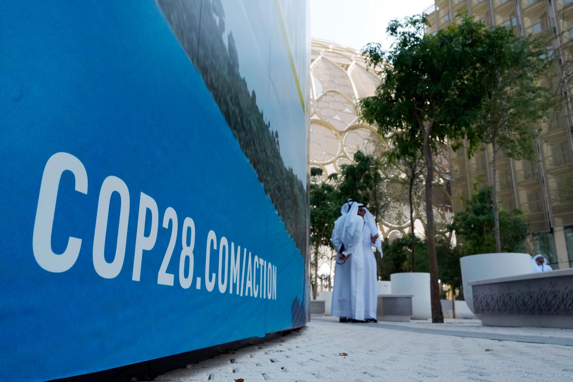 COP28 väntas bli det största klimattoppmötet hittills. 