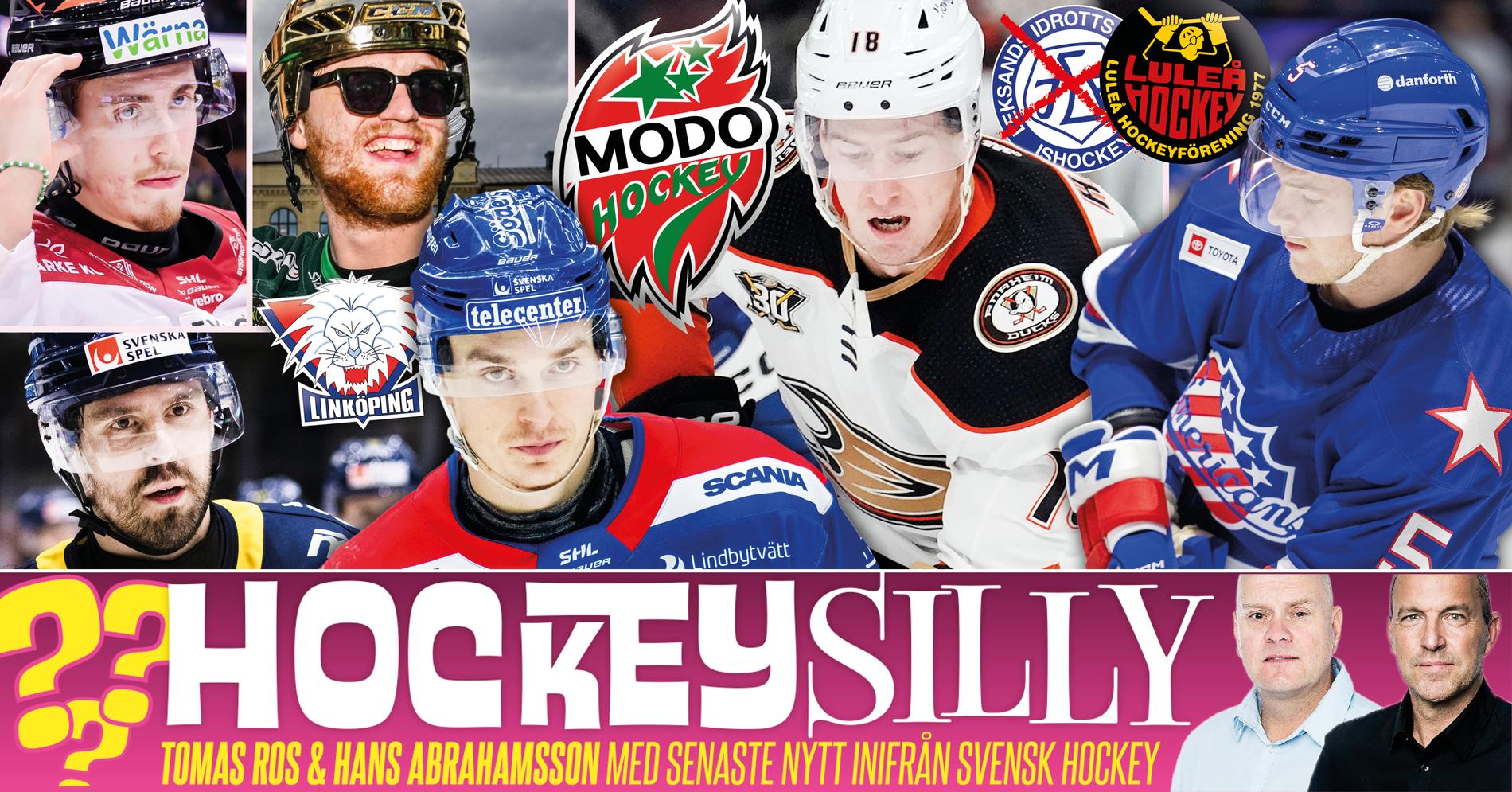 Luleå Hockey: Sillysurr: Modo jagar dubbla stjärnor – Själin på väg tillbaka till SHL