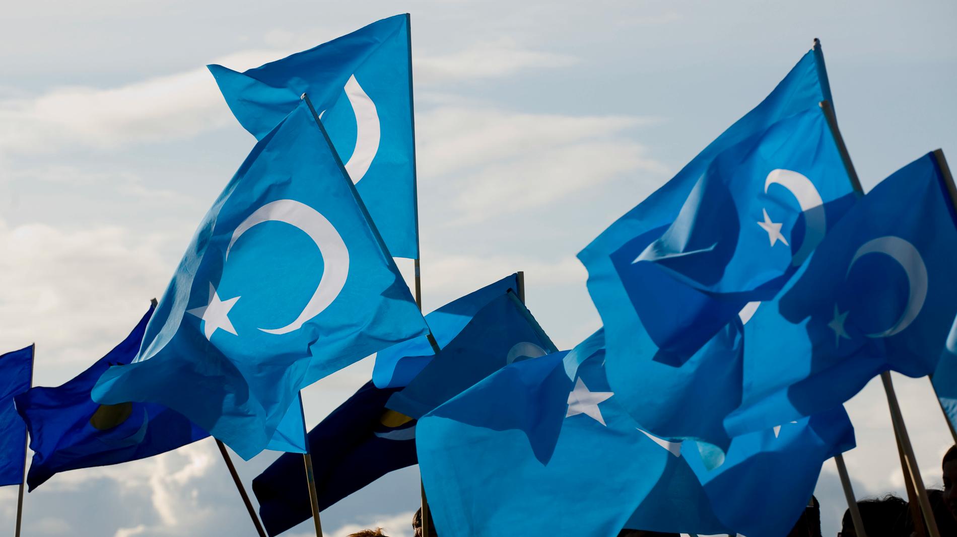 Flaggan för Östturkestan, en stat som har existerat två gånger – under 30 och 40-talet, är en symbol för många uigurer.