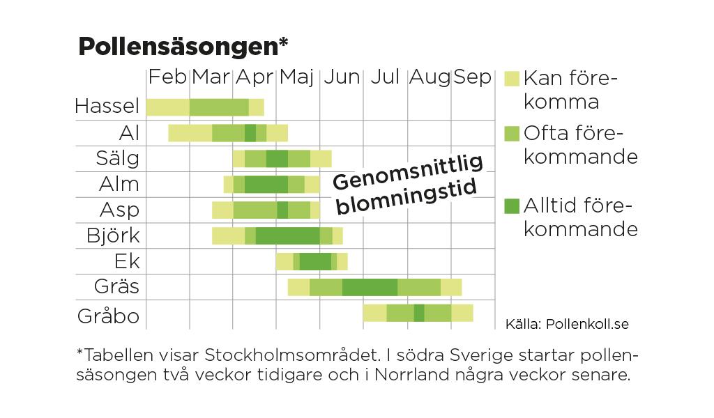 Tabellen visar Stockholmsområdet. I södra Sverige startar pollensäsongen två veckor tidigare och i Norrland några veckor senare.