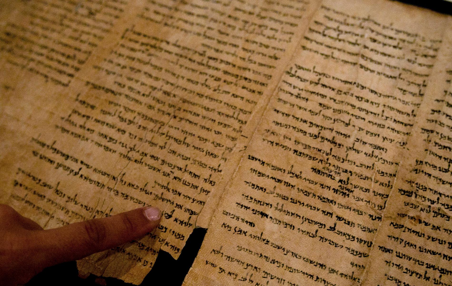 Delar av Dödahavsrullarna är i väsentligt bättre skick än fragmenten. Här pekar en israelisk museianställd på ordet "Jerusalem" i en av texterna, som bland annat innehåller de tidigaste utgåvorna av den hebreiska bibeln som har hittats. Arkivbild.