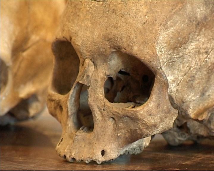 Över 40 kranier har påträffats intill ett altare i Mexiko city. Den makabra upptäckten gjordes i samband med ett polistillslag mot narkotikasmugglare. Arkivbild.