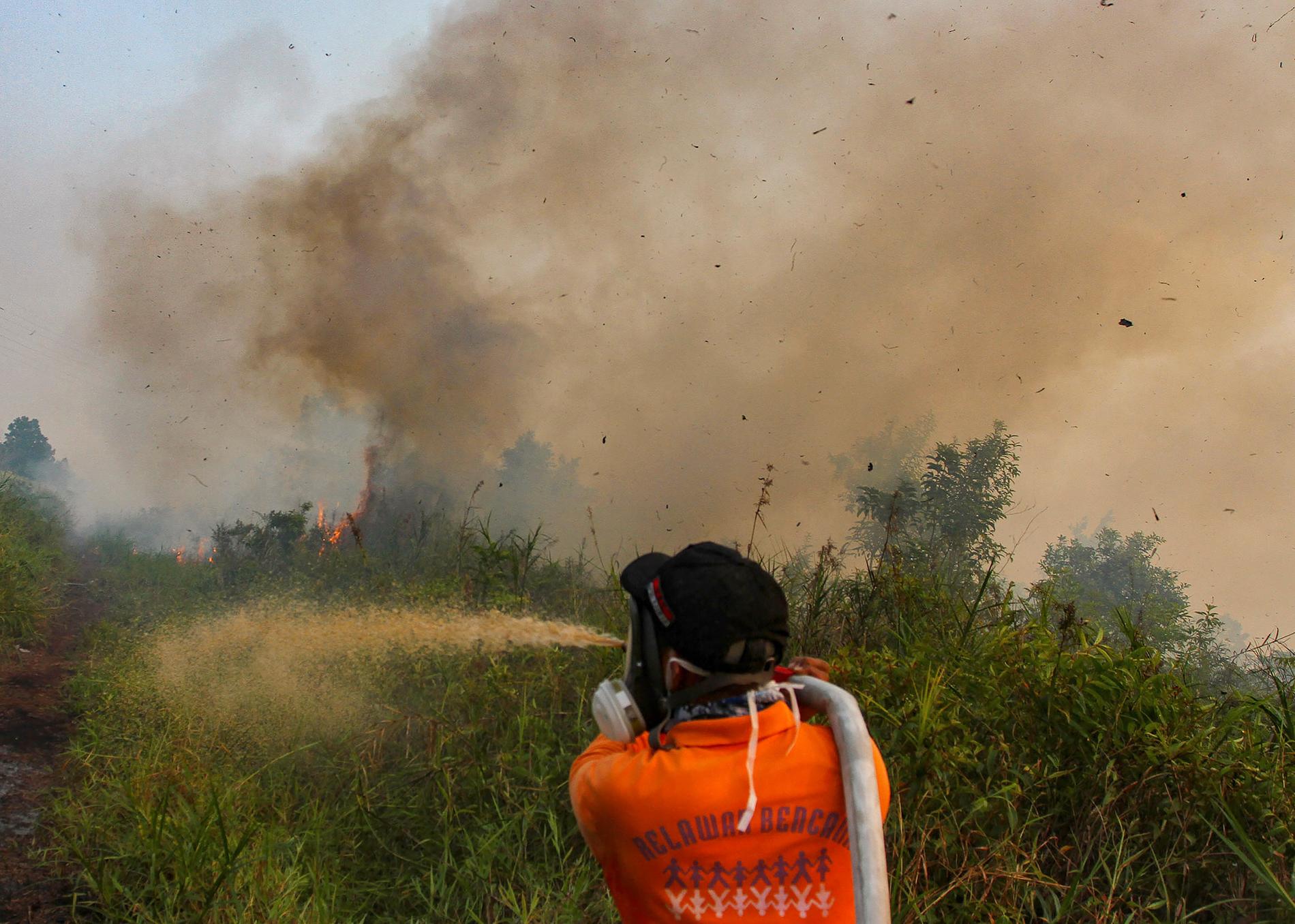 Brandmän kämpar med att släcka en brand i provinsen Riau på mellersta Sumatra i Indonesien.