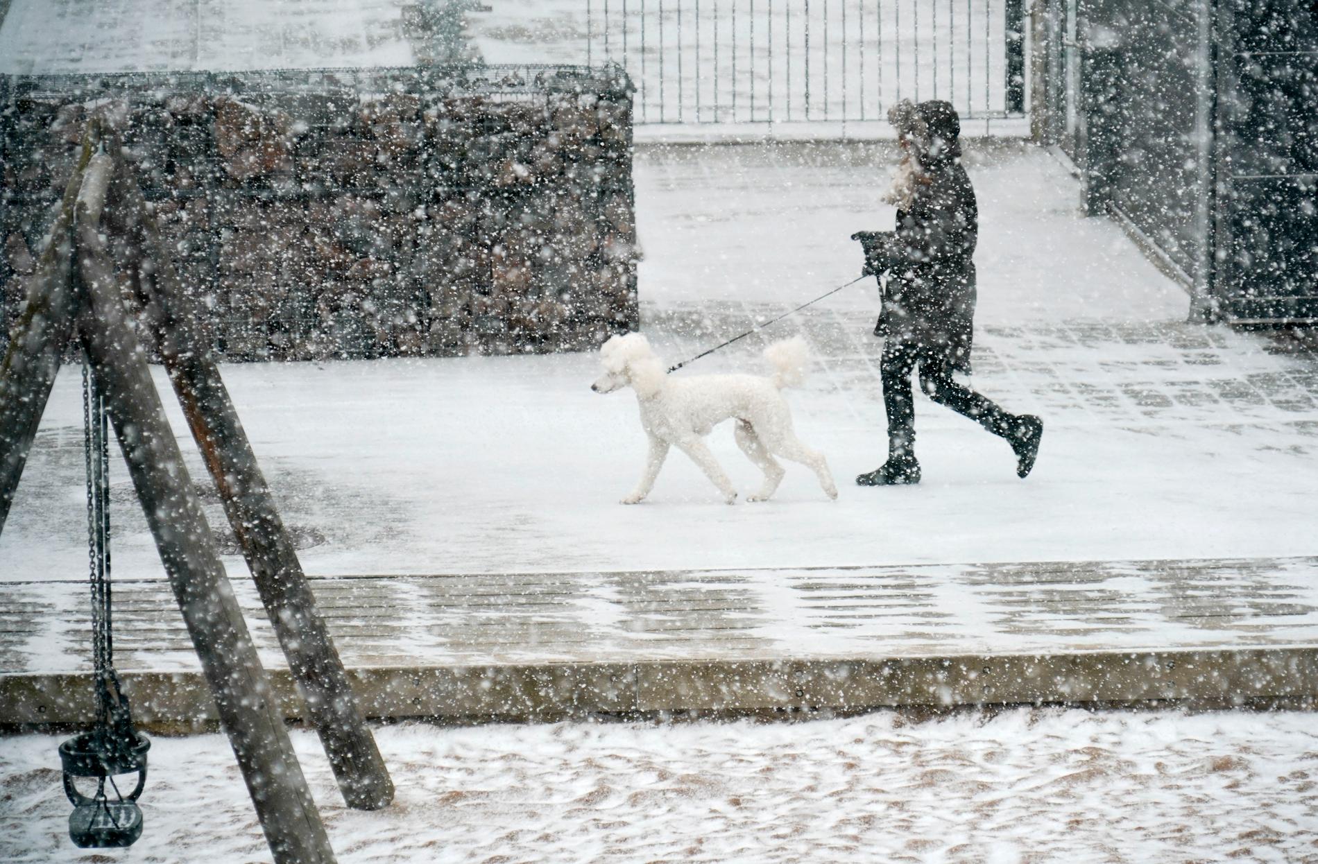 Det väntas snöa i hela landet under inledningen av nyårshelgen. Bilden togs i Malmö tidigare i år.