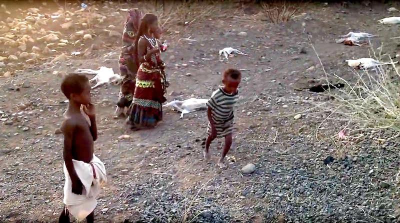 TYDLIGT TECKEN Effekterna av den svåra torkan i Etiopien syns tydligt på dessa bilder, som togs av en amatörfotograf i Afarregionen i somras. Längs med vägen ligger mängder av döda djur.