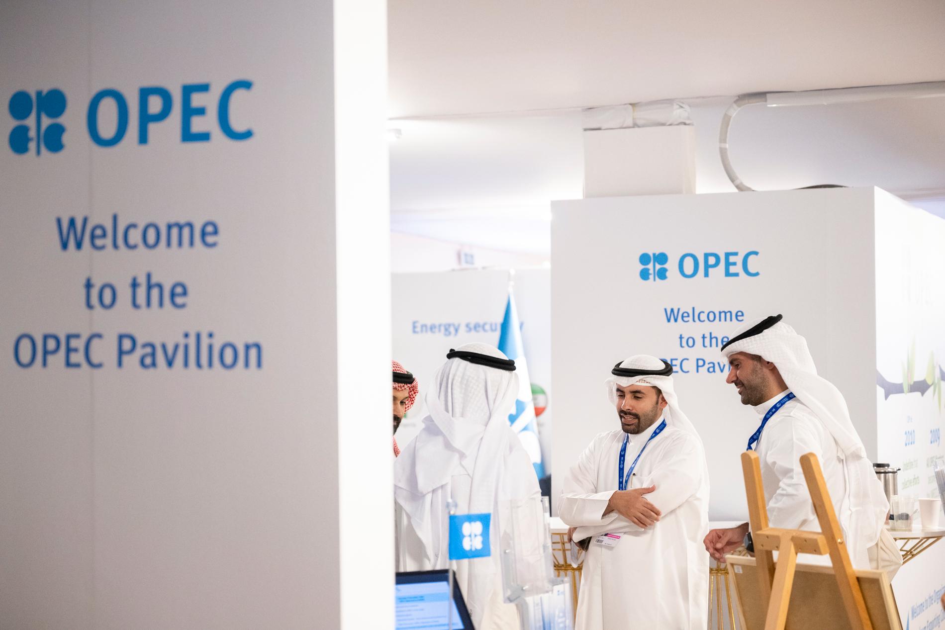 Att släppa in OPEC på COP är som att släppa in en pyroman på en konferens om brandsäkerhet.