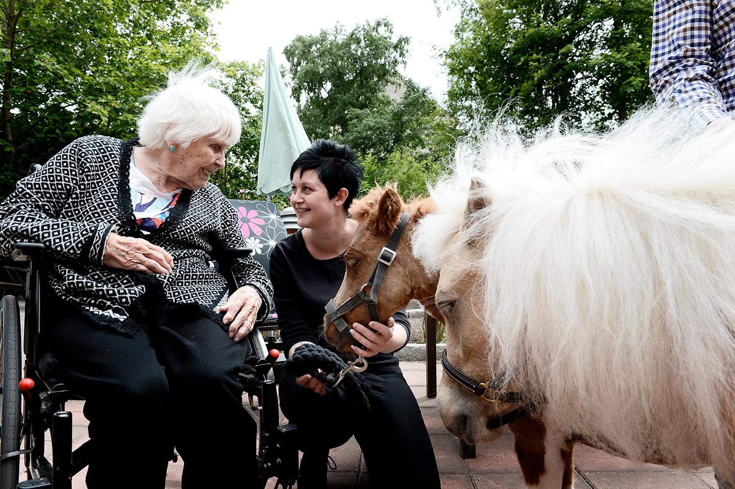 "Vad härliga de är" säger Edith Eklund, 97, till Therese Saarinen, ägare till terapihästarna Asco och Bibbi.