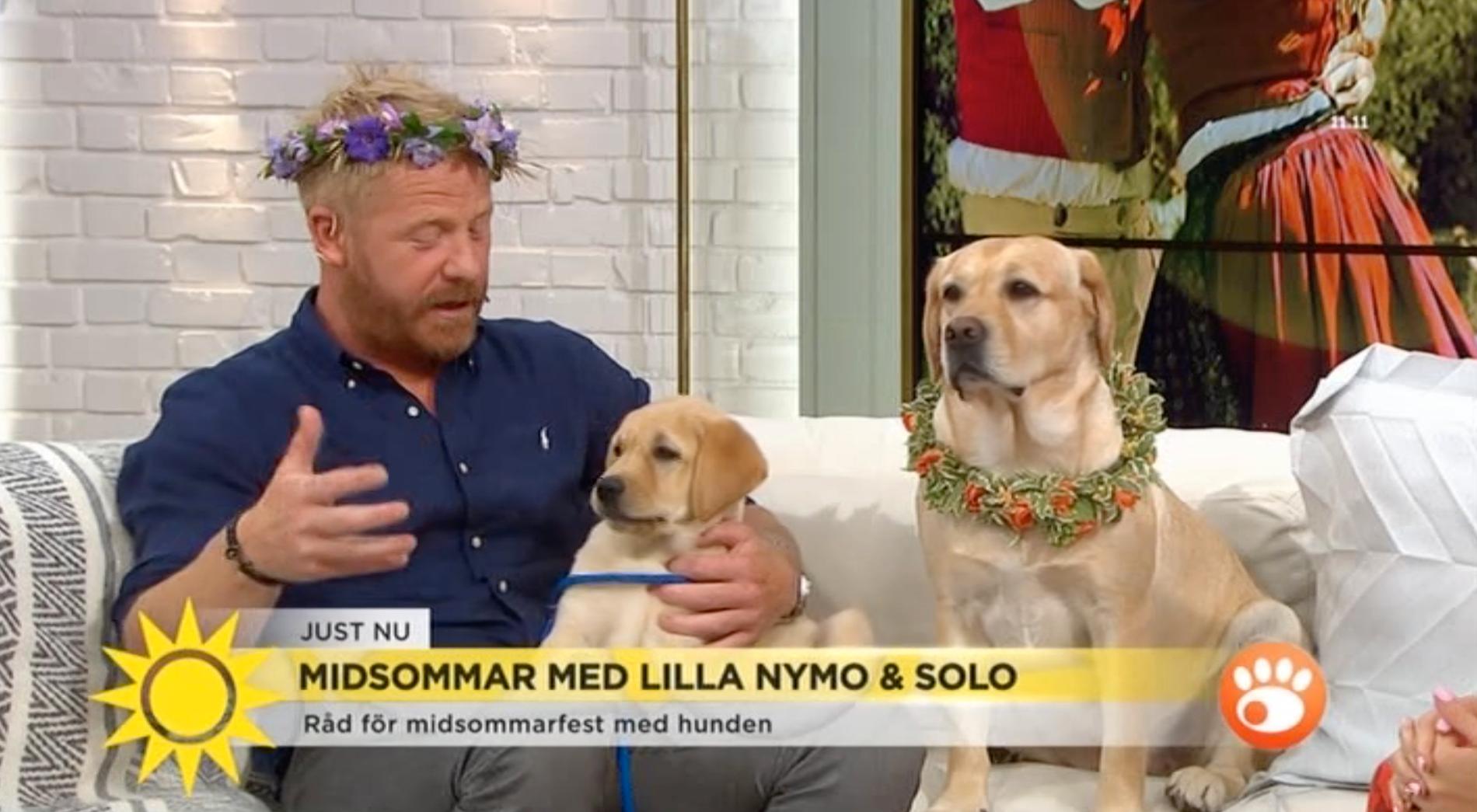 Fredrik Steen tillsammans med Solo och Lilla Nymo i Nyhetsmorgon.